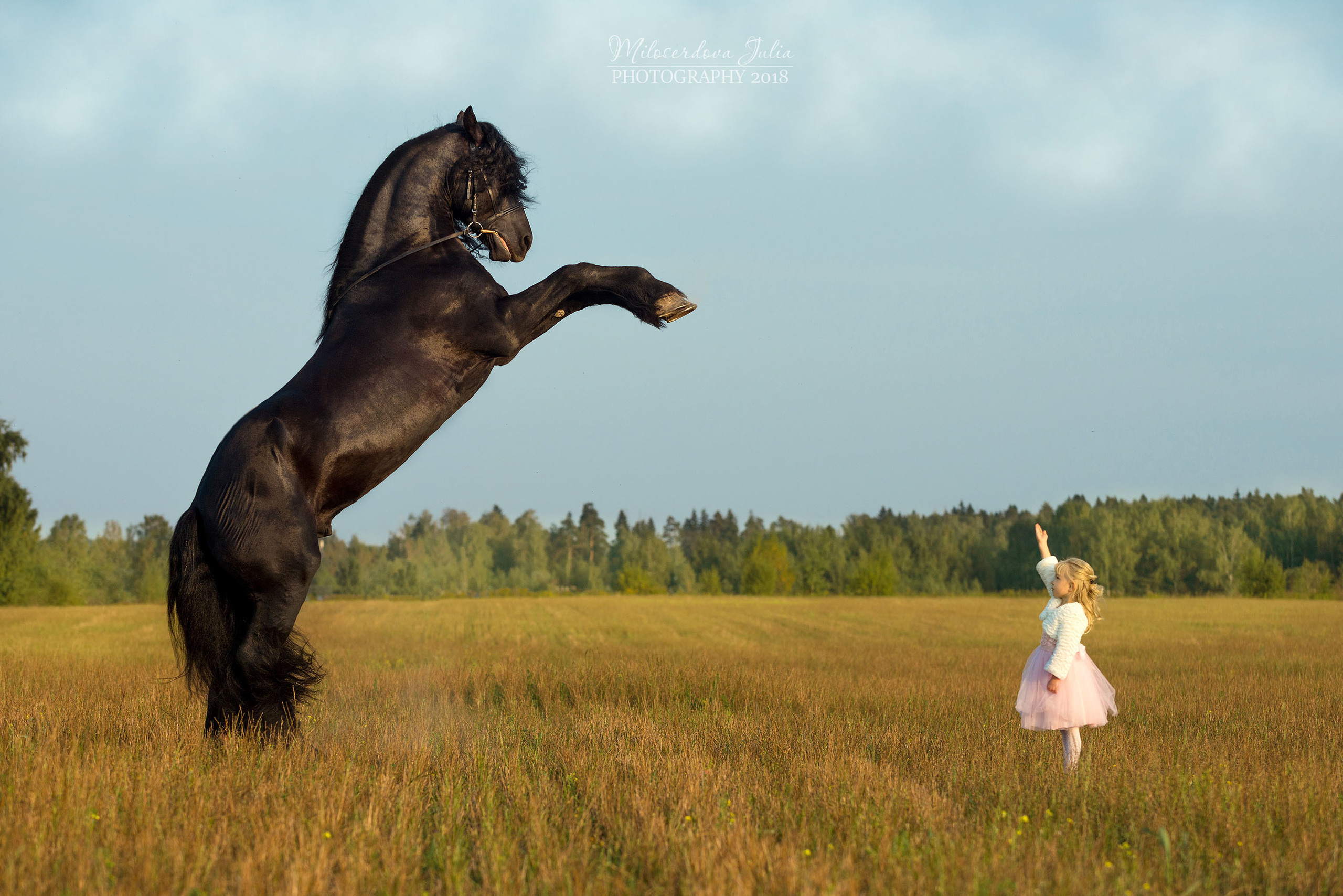 Фотосессии с лошадьми. Фотограф Юлия Милосердова