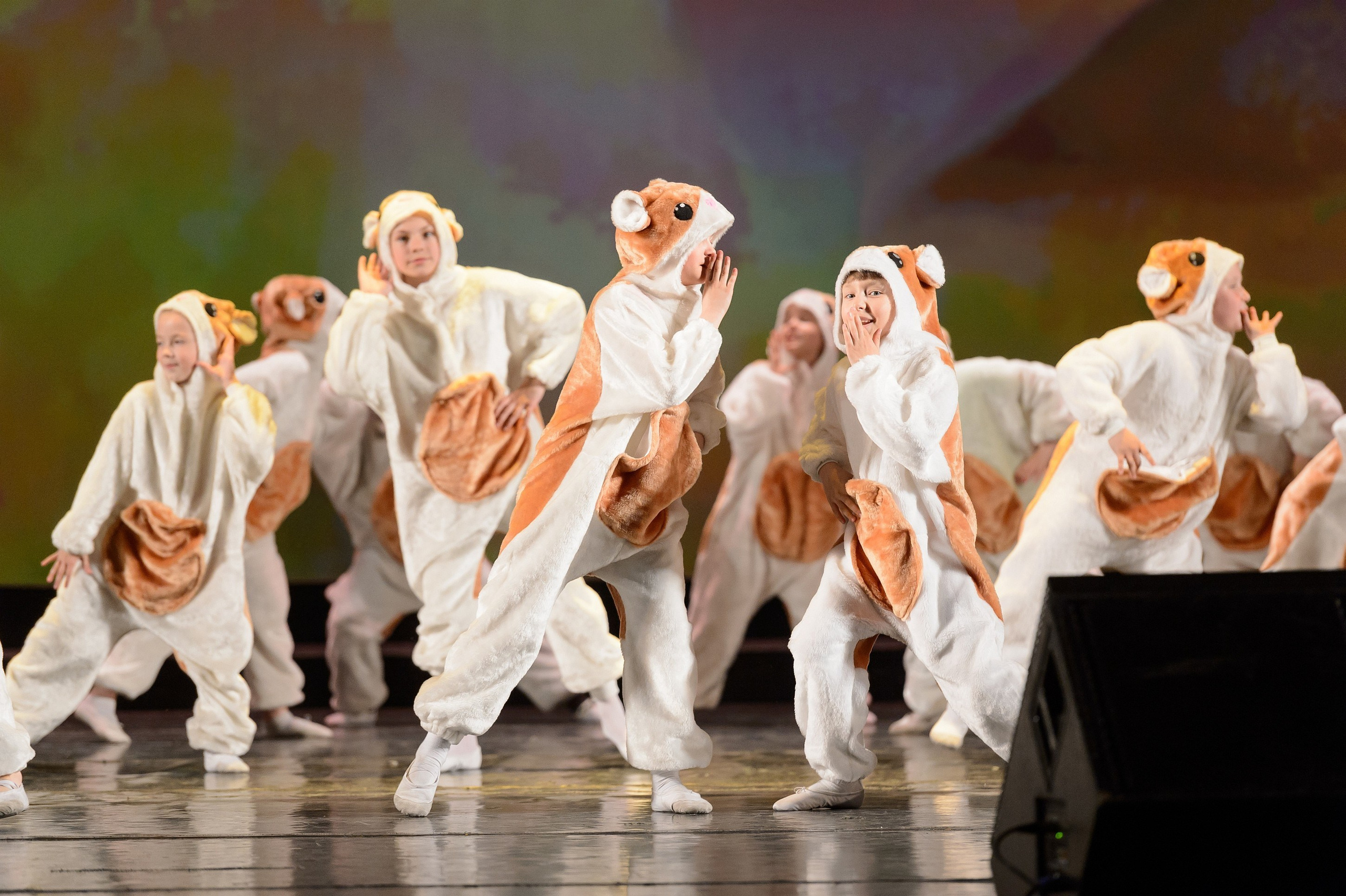 23 мая, концерт 5 лет, БКЗ. Золотое яблочко