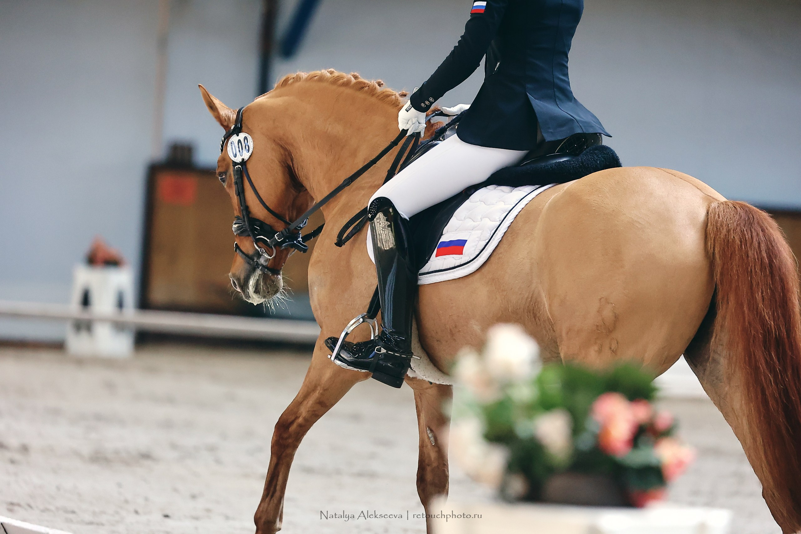 Этап Кубка Евразии по выездке, Минск | 04'2023. Репортажный фотограф и ретушер в Москве Наталья Алексеева