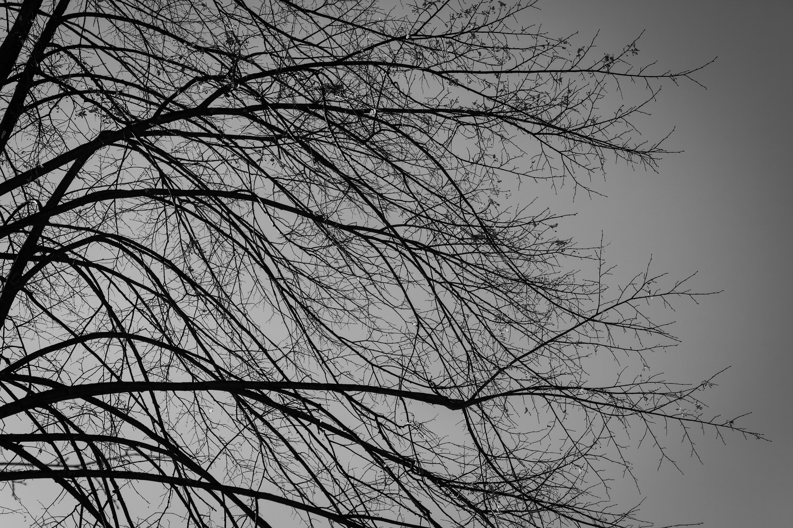 Мрачные. Фотограф в Новокузнецке