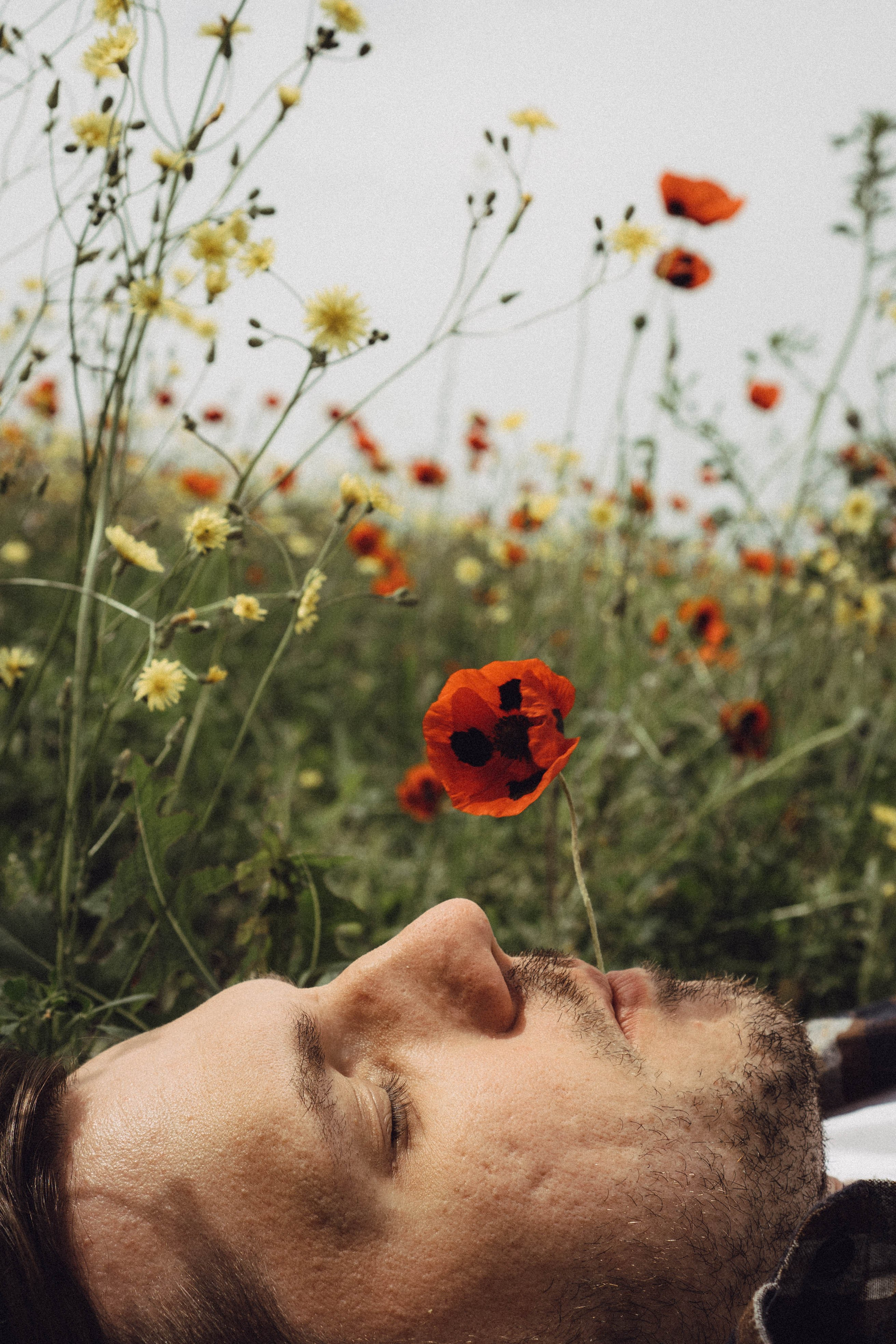 Маки. Профессиональный фотограф, Санкт-Петербург — Виктория Богомолова