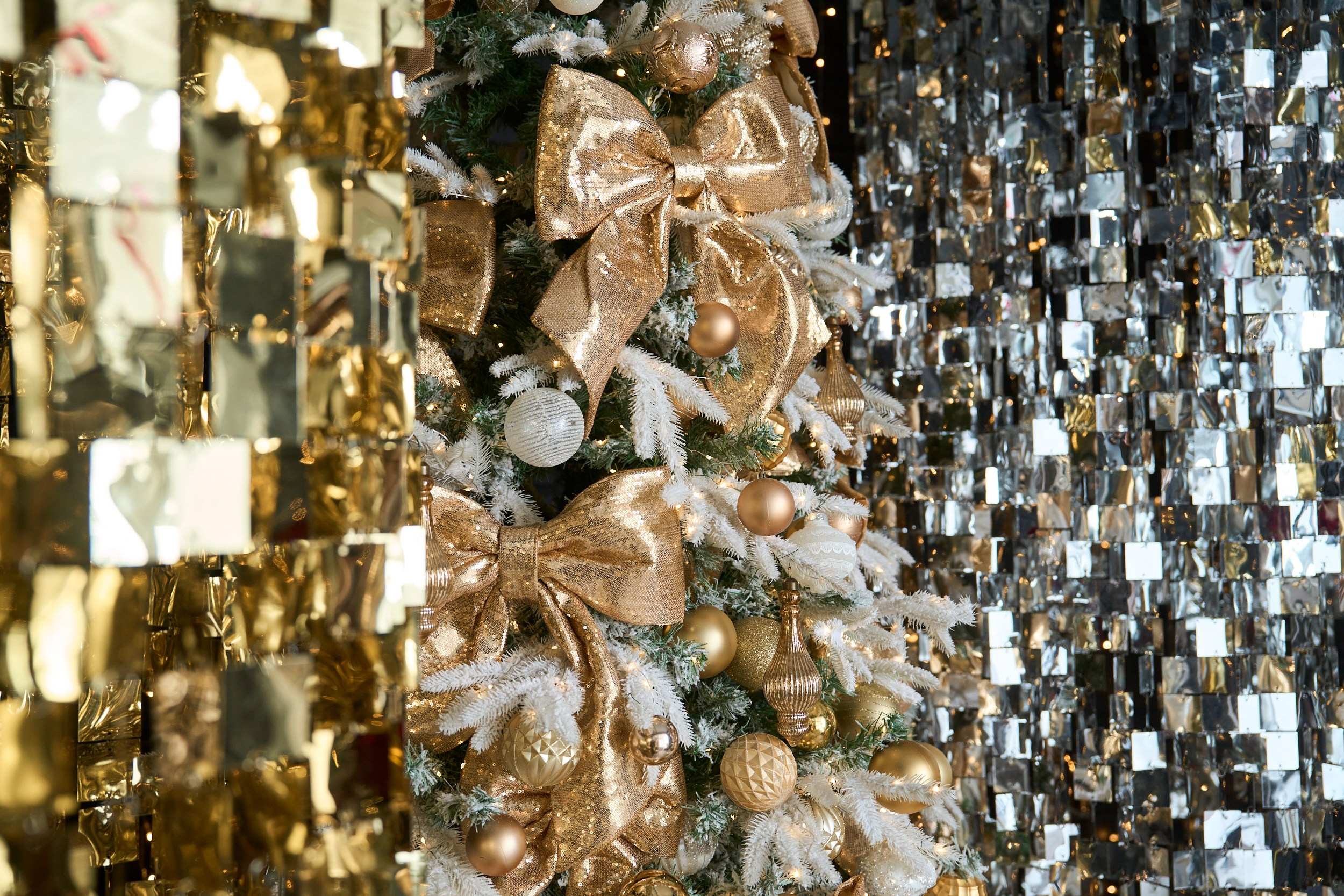 Арт (Art). Фотограф г. Хабаровск. Семейные и индивидуальные съёмки