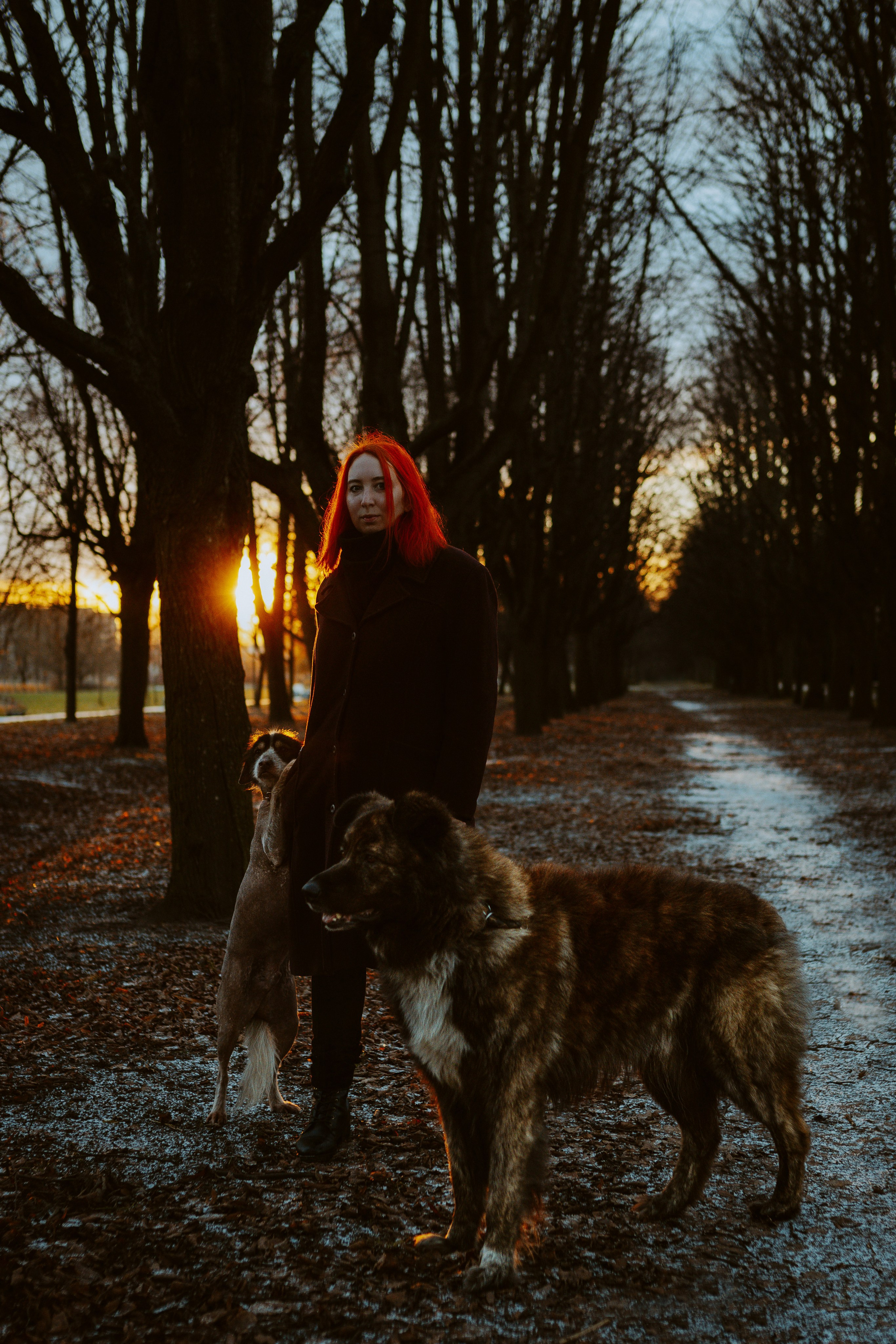 Творческая фотосессия фотографа анималиста. Фотограф анималист в Спб недорого Олеся Майорова