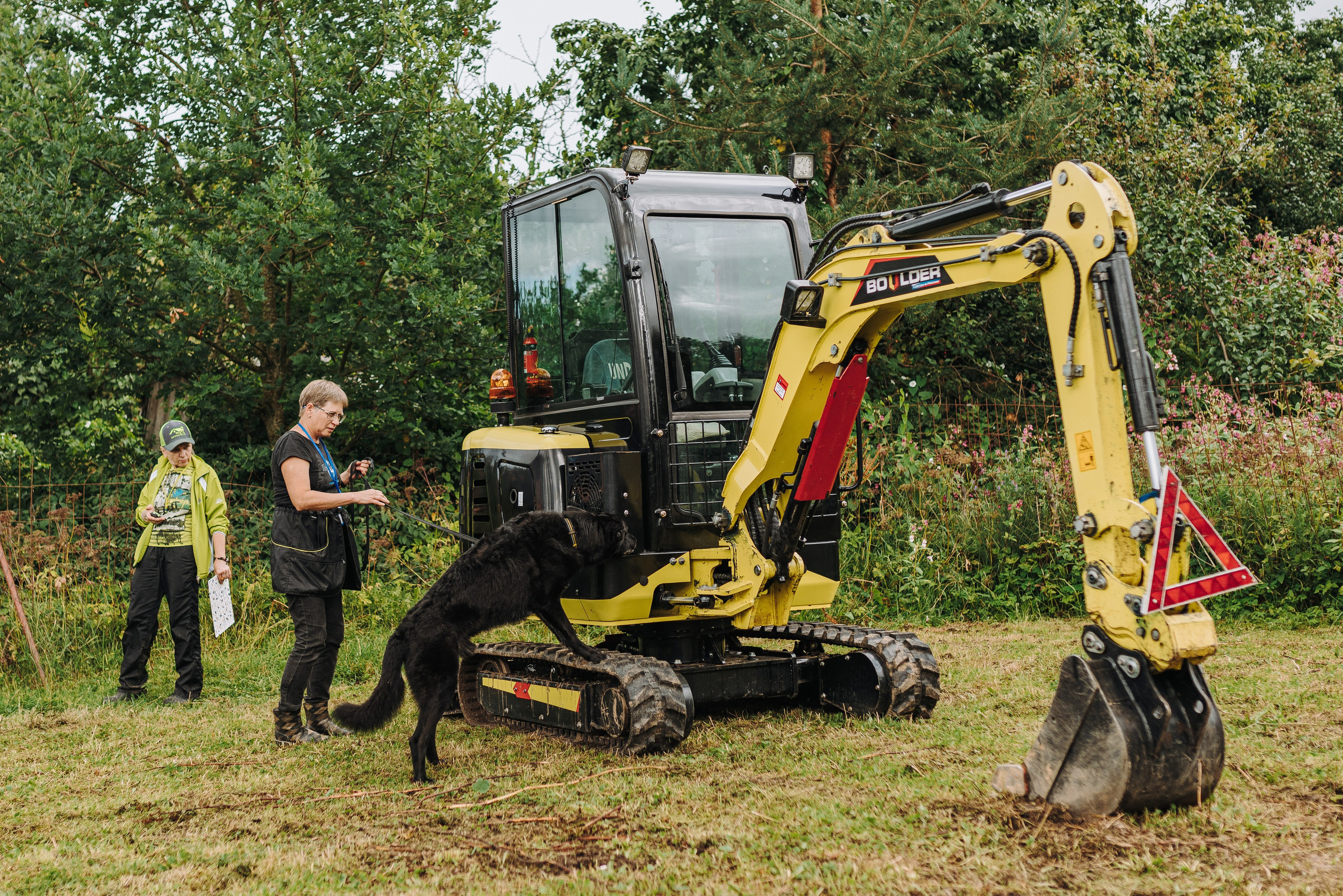 Соревнования по ноузворку в Новожилово. Фотограф анималист в Спб недорого Олеся Майорова