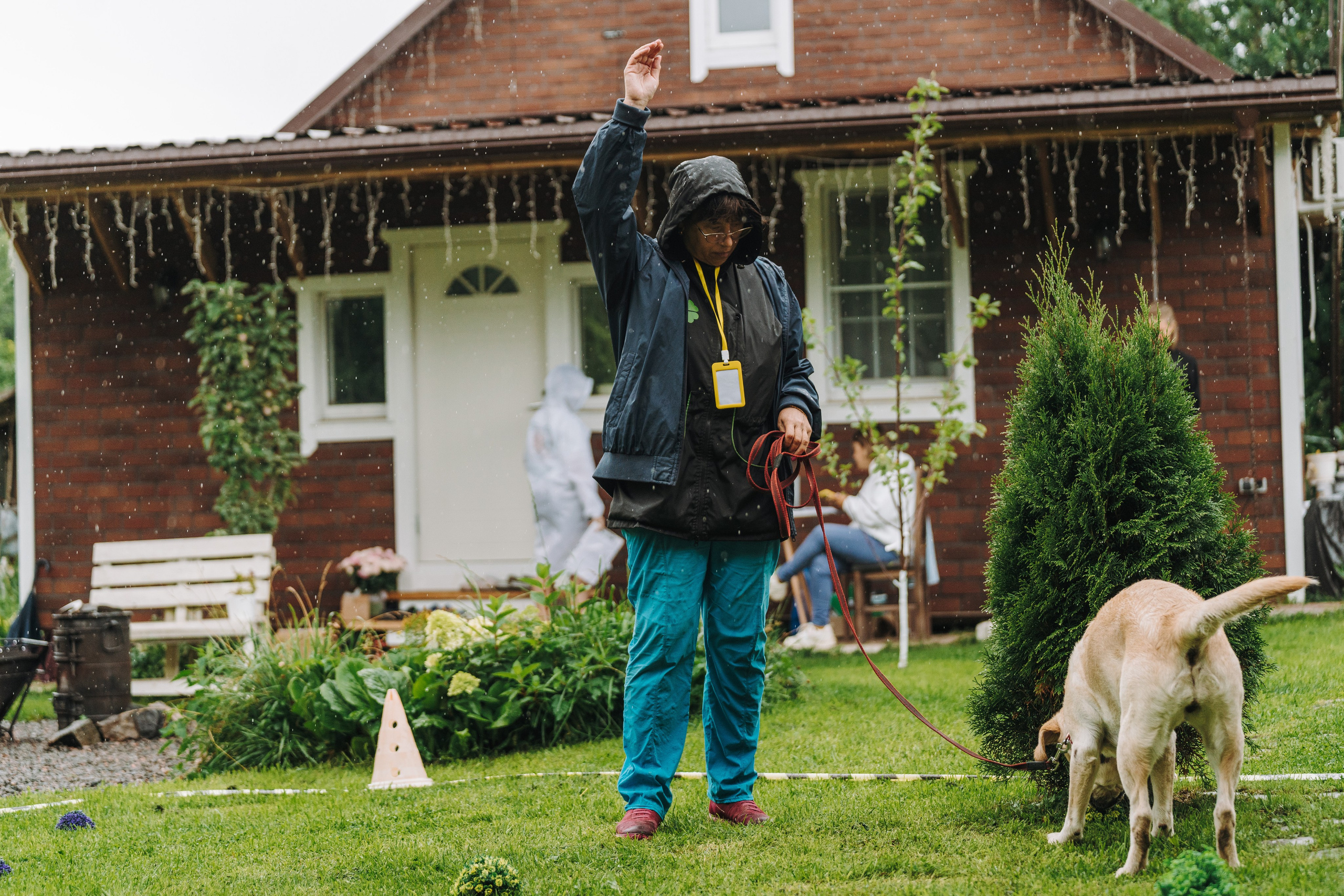 Соревнования по ноузворку в Новожилово. Фотограф анималист в Спб недорого Олеся Майорова