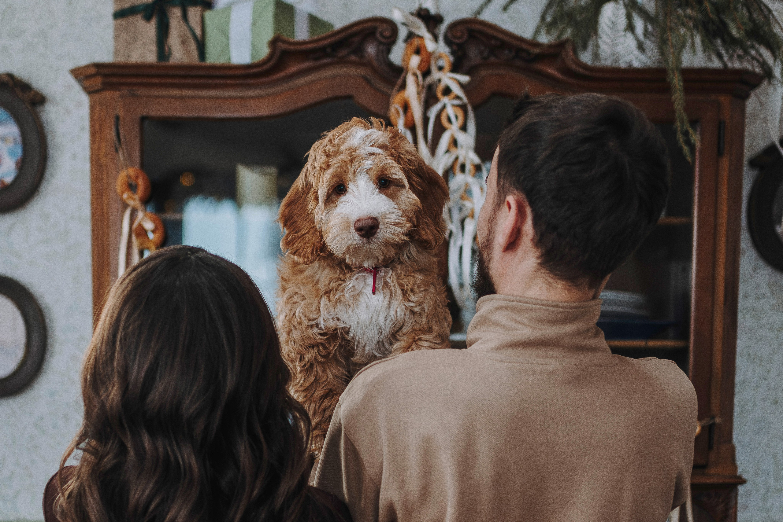 Мёрфи, Таня и Антон. Фотограф анималист в Спб недорого Олеся Майорова