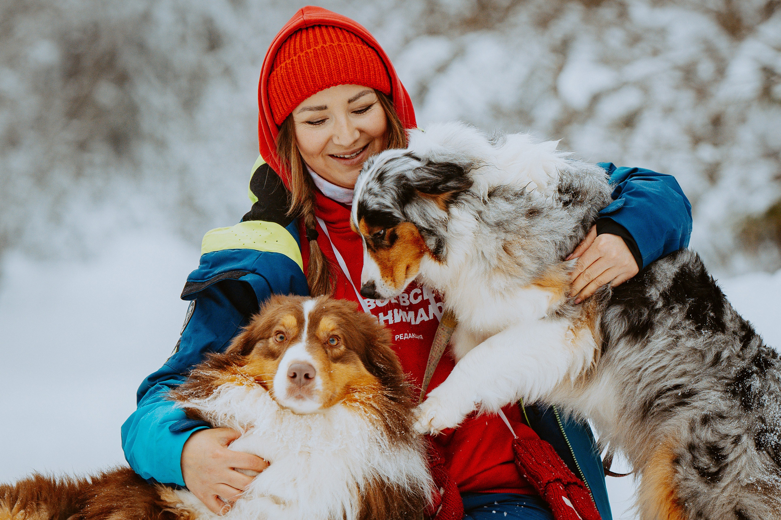 Дог трекинг. Фотограф анималист в Спб недорого Олеся Майорова