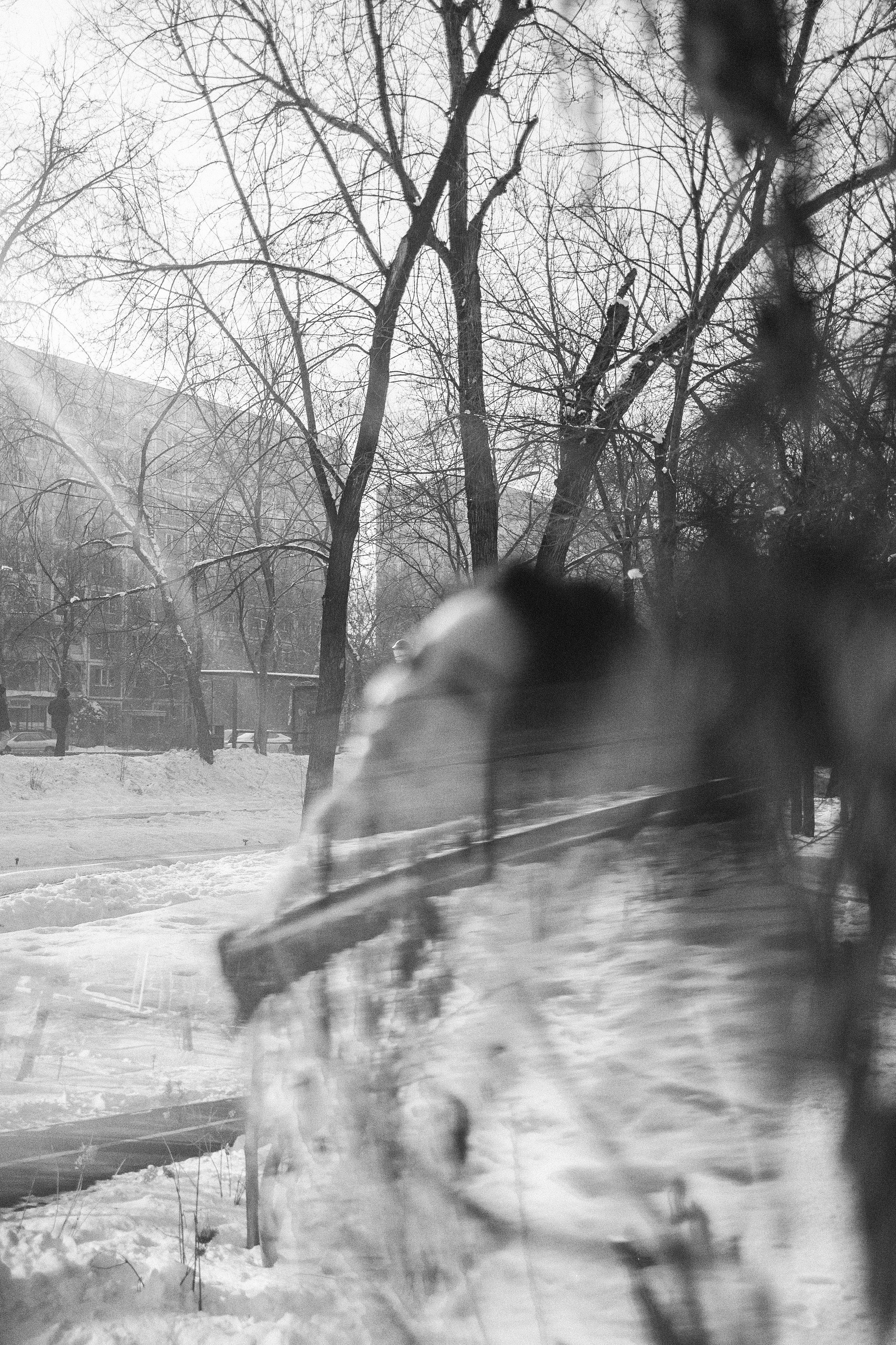 Шура / Алматы. Фотограф Наталья Гончарова. Снимаю живые портреты в Алматы