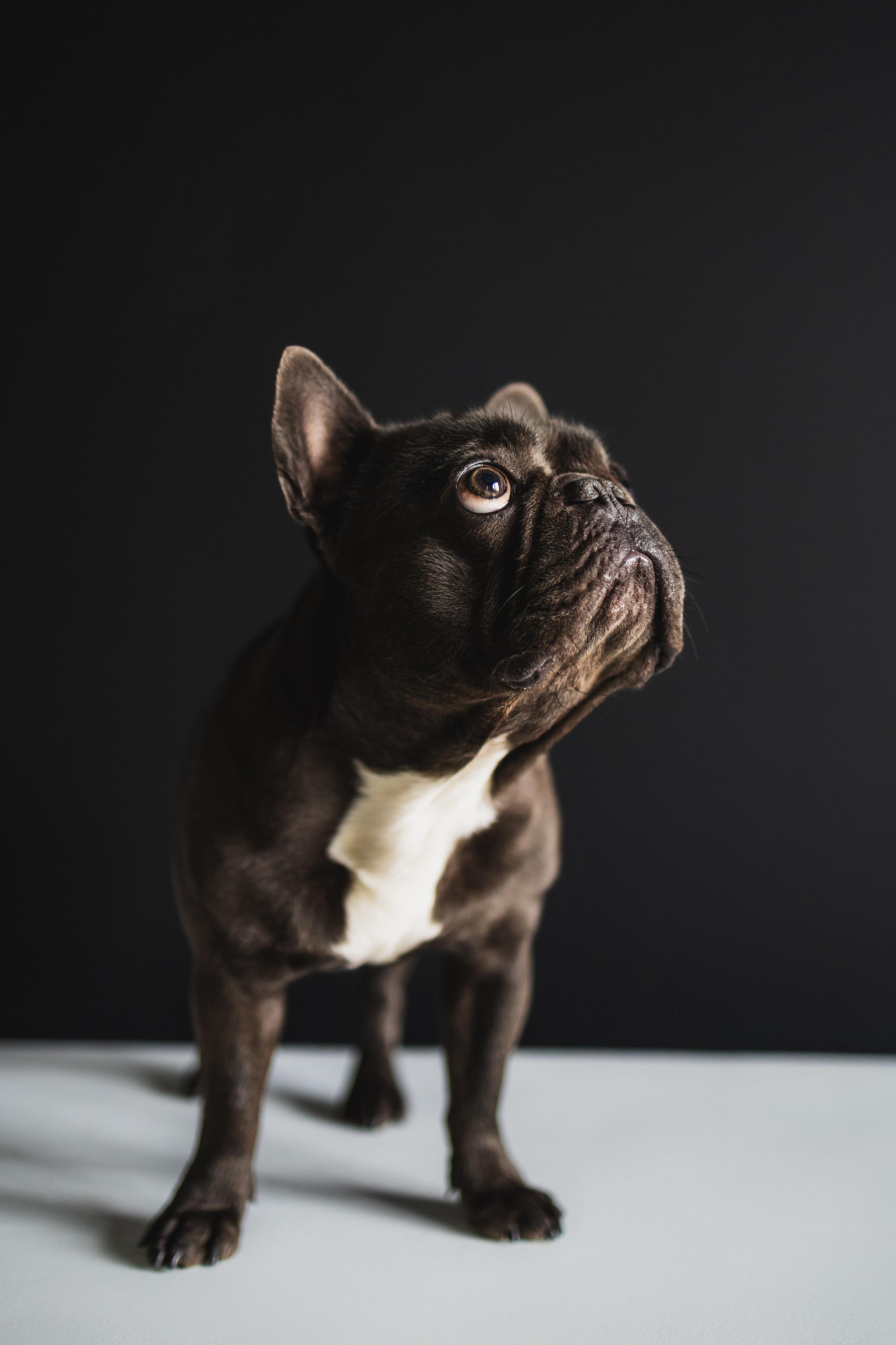 Кристина и Счастье