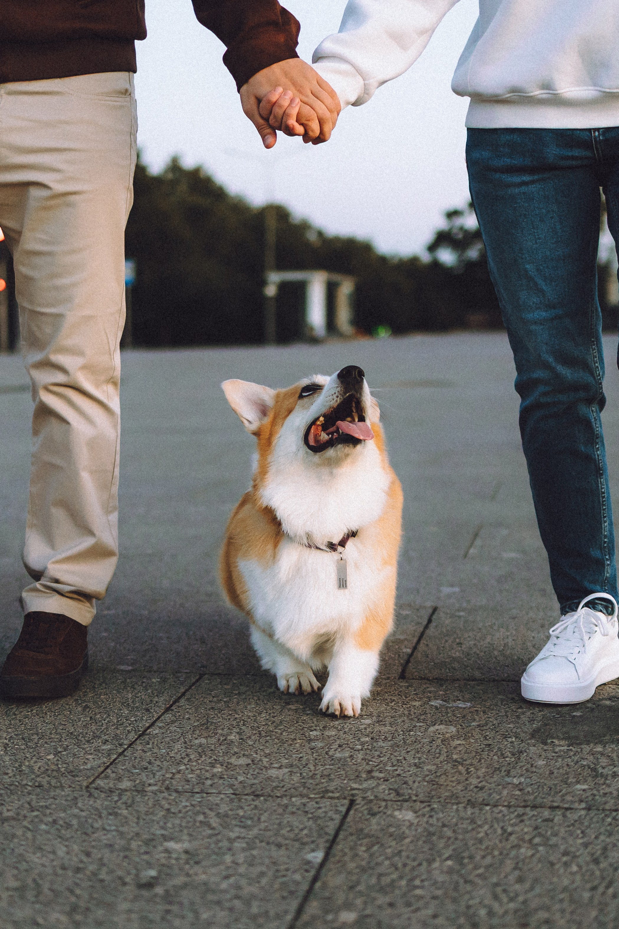 Пуговка и ее семья