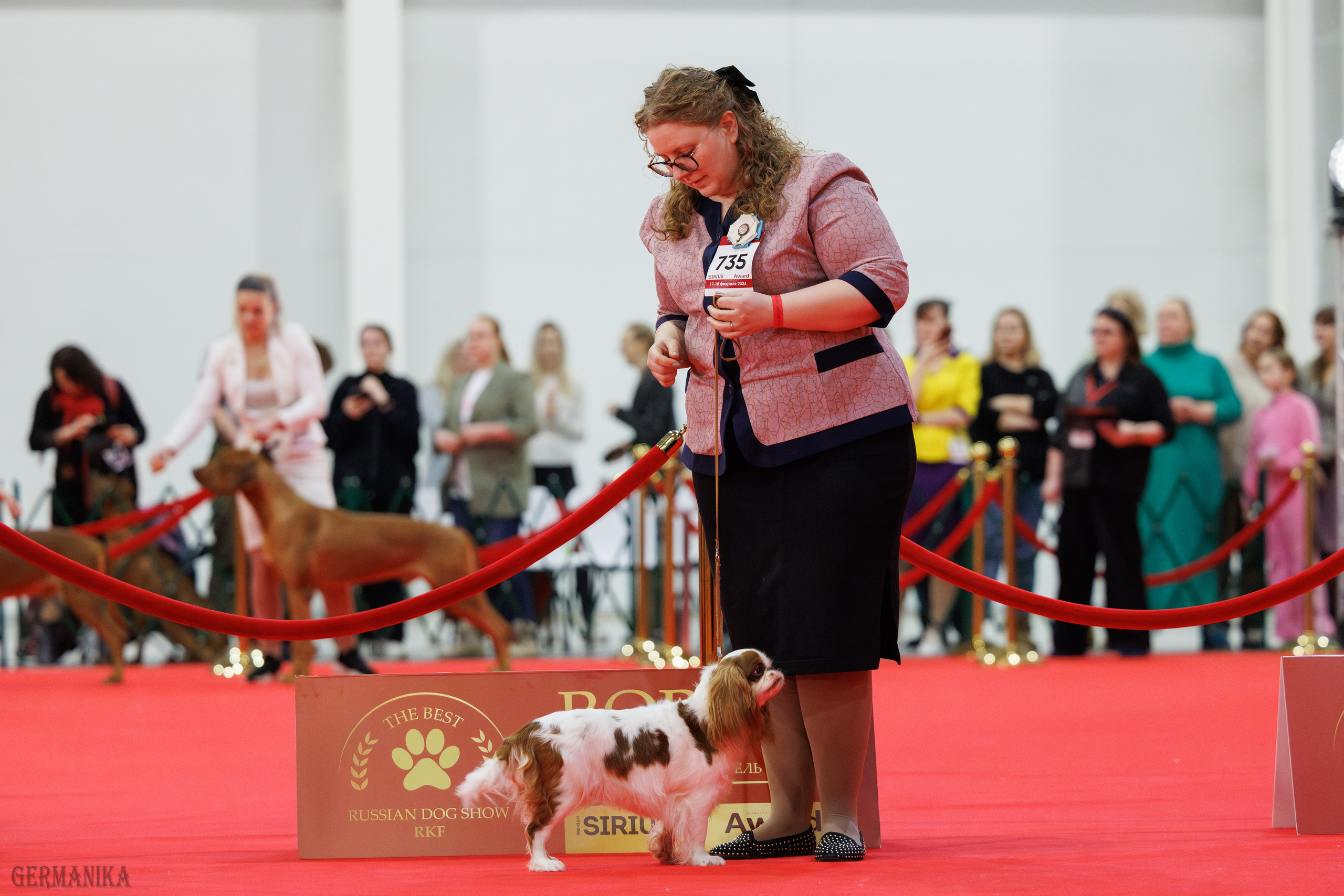Лучшие Собаки России 17-18.02.2024. Фотограф-анималист Юлия Германика