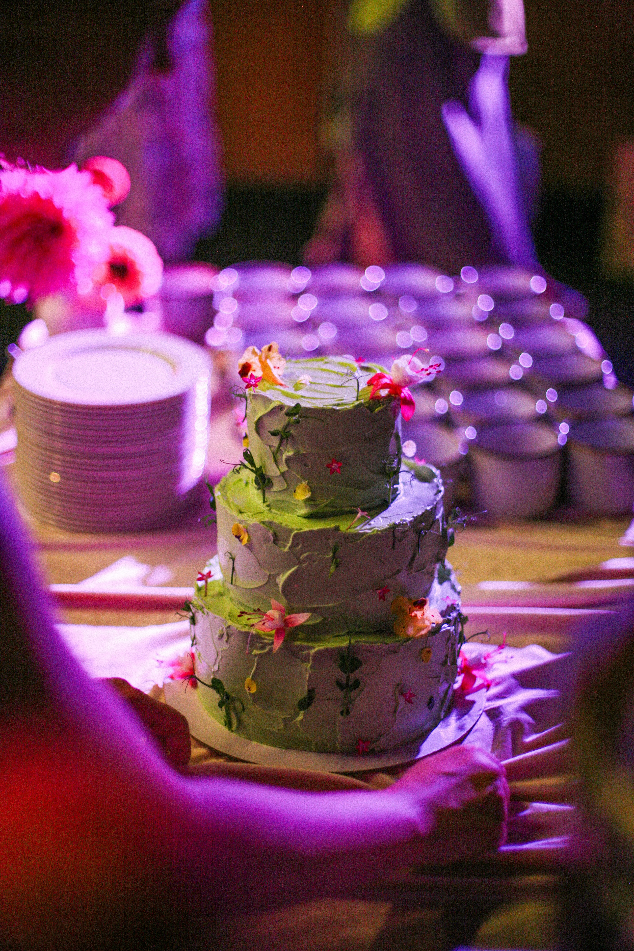 Аня и Кирилл (полный день с росписью). Фотограф Екатерина Максимова: семейные, индивидуальные съемки, свадьбы