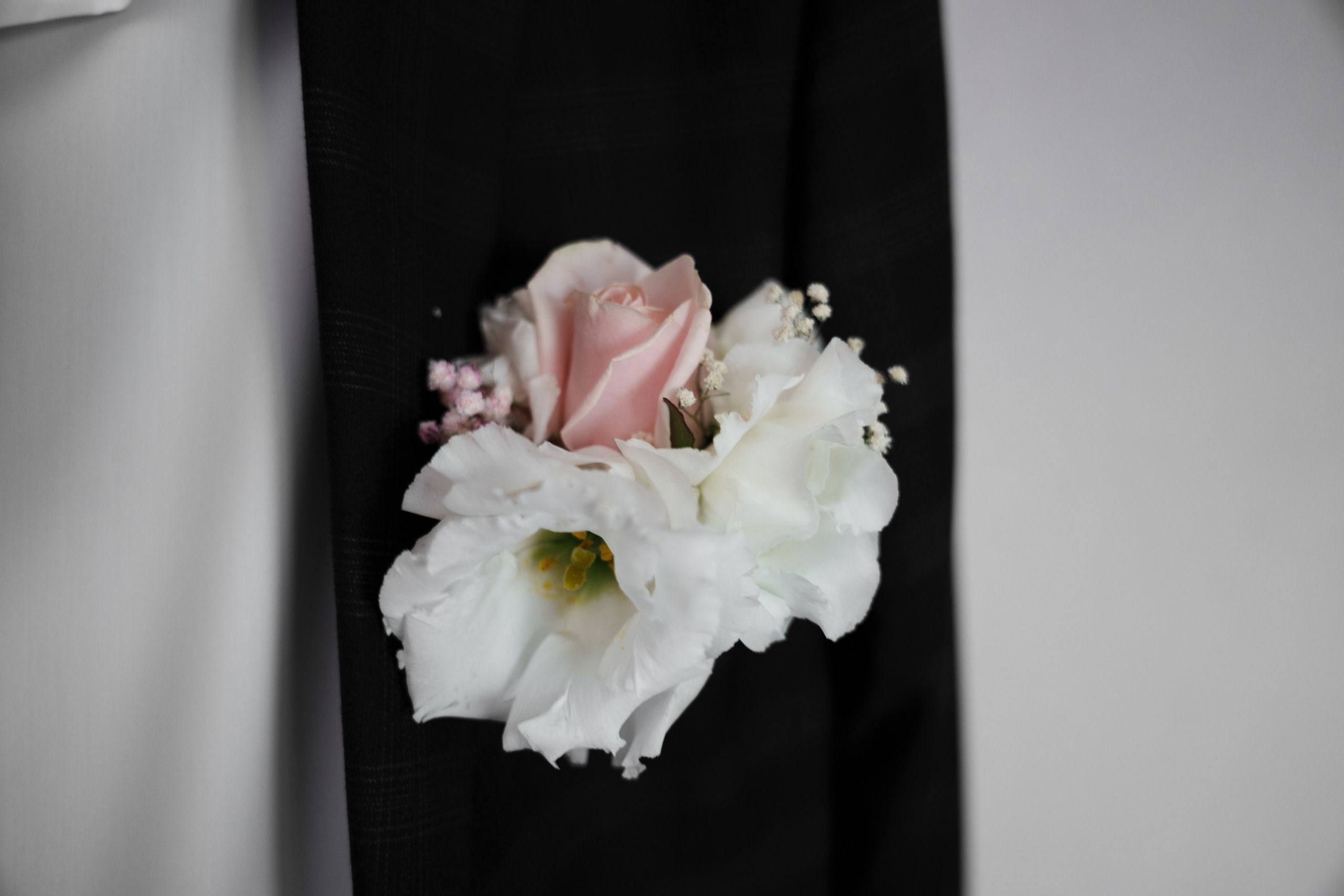 Дарья и Даниил. Ольга Плаксина фотограф в Саратове