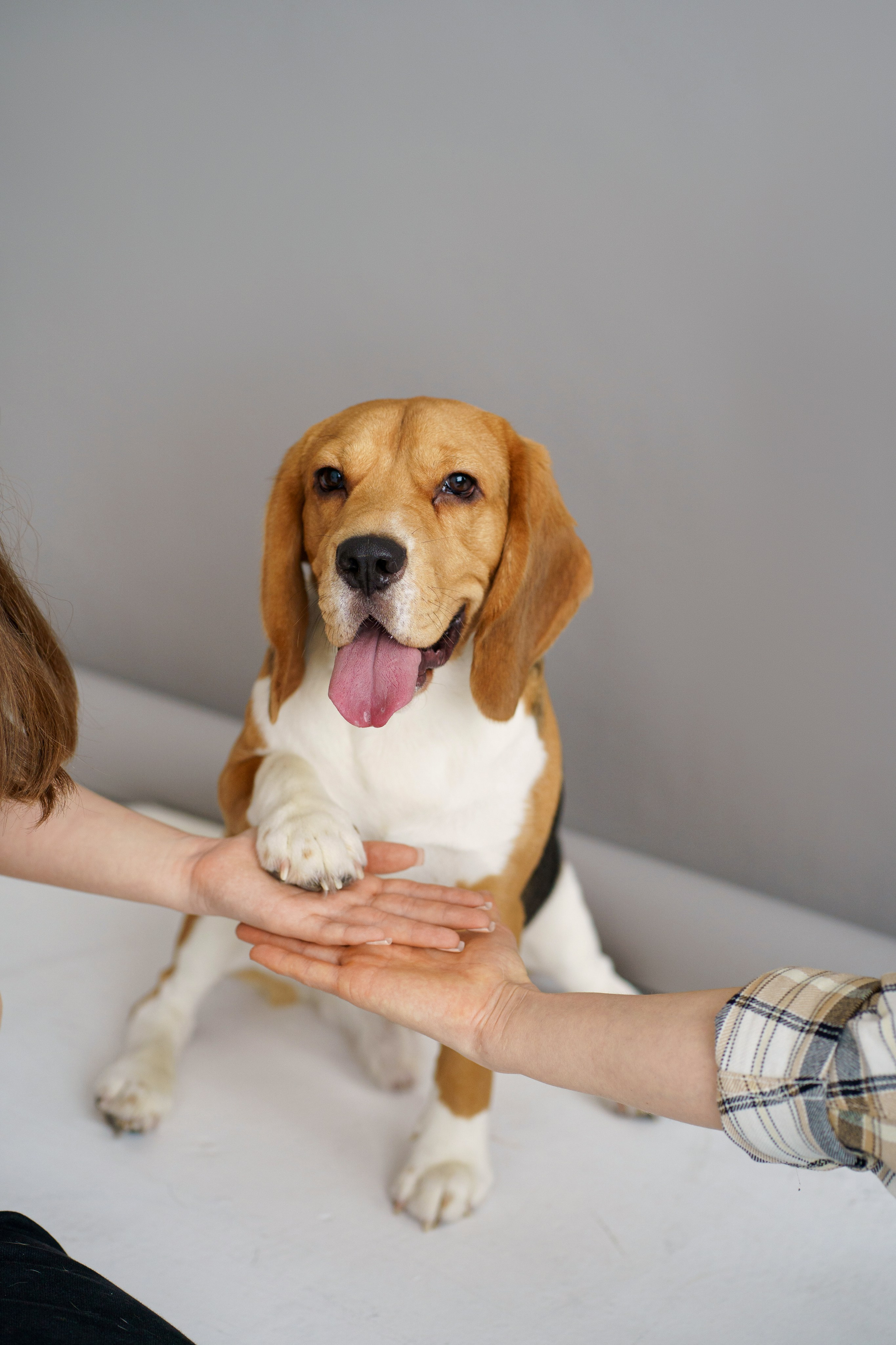 Настя&Лера. Главная