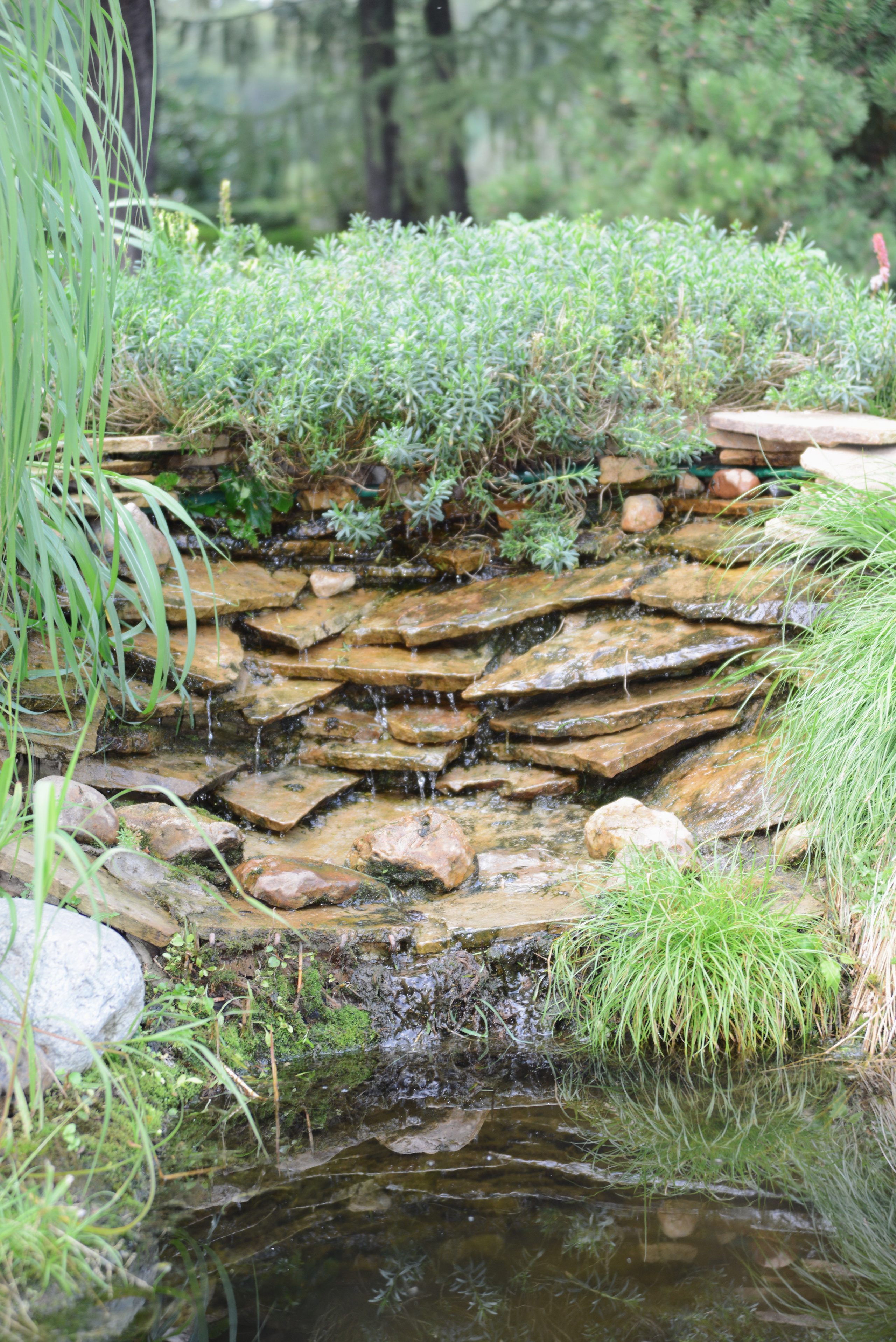 Декоративный водоём, садовый пруд, декоративный пруд