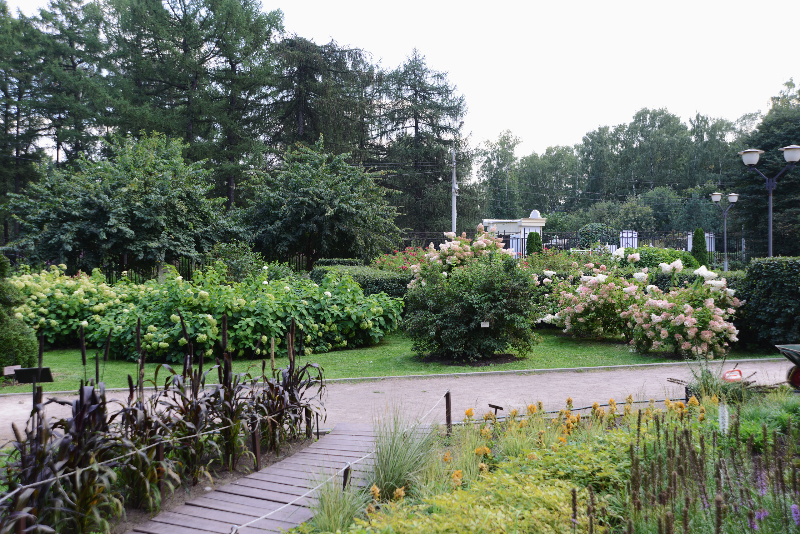 Московский парк, ландшафтный дизайн сада летом.