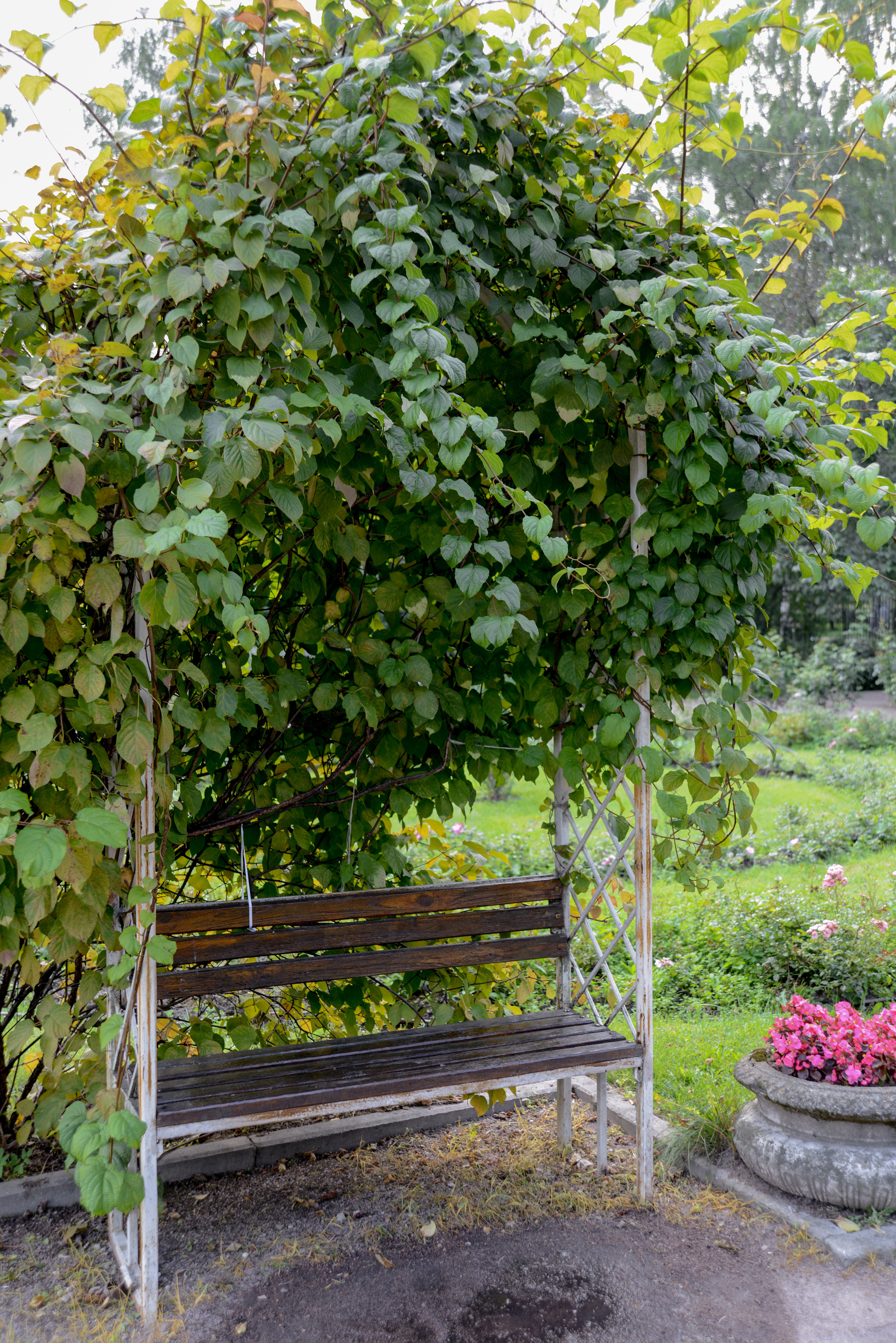 Скамейка в парке