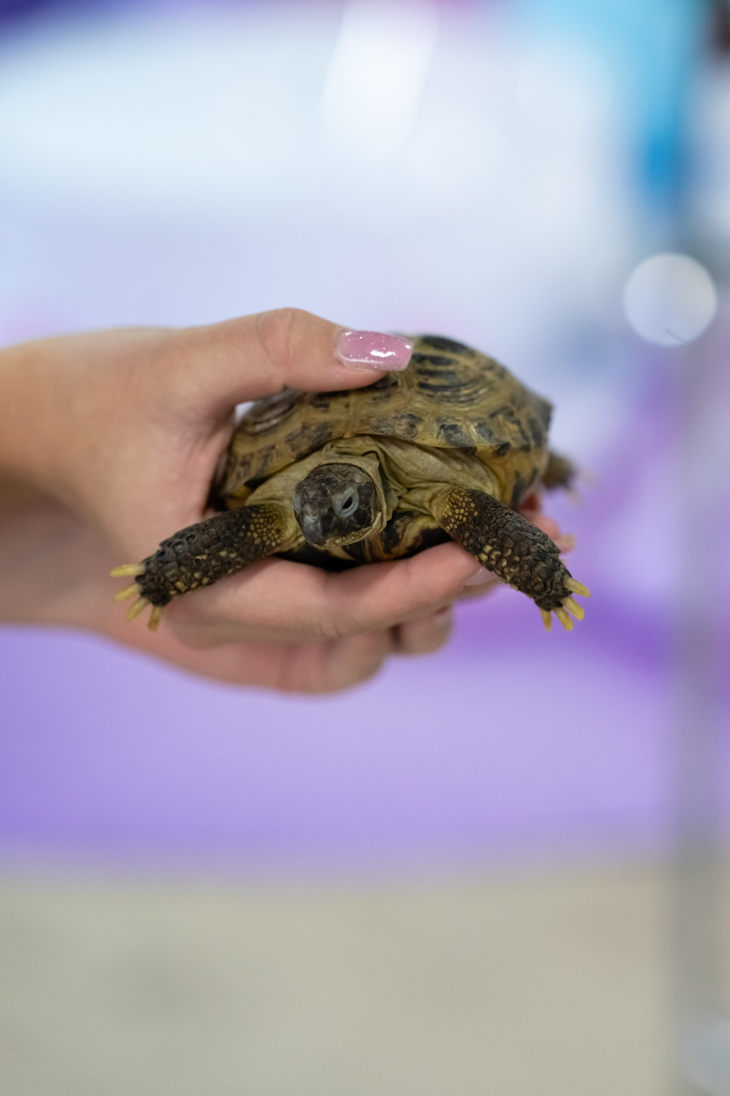 Tik Tok вечеринка. Фотограф в Одинцово, Москве