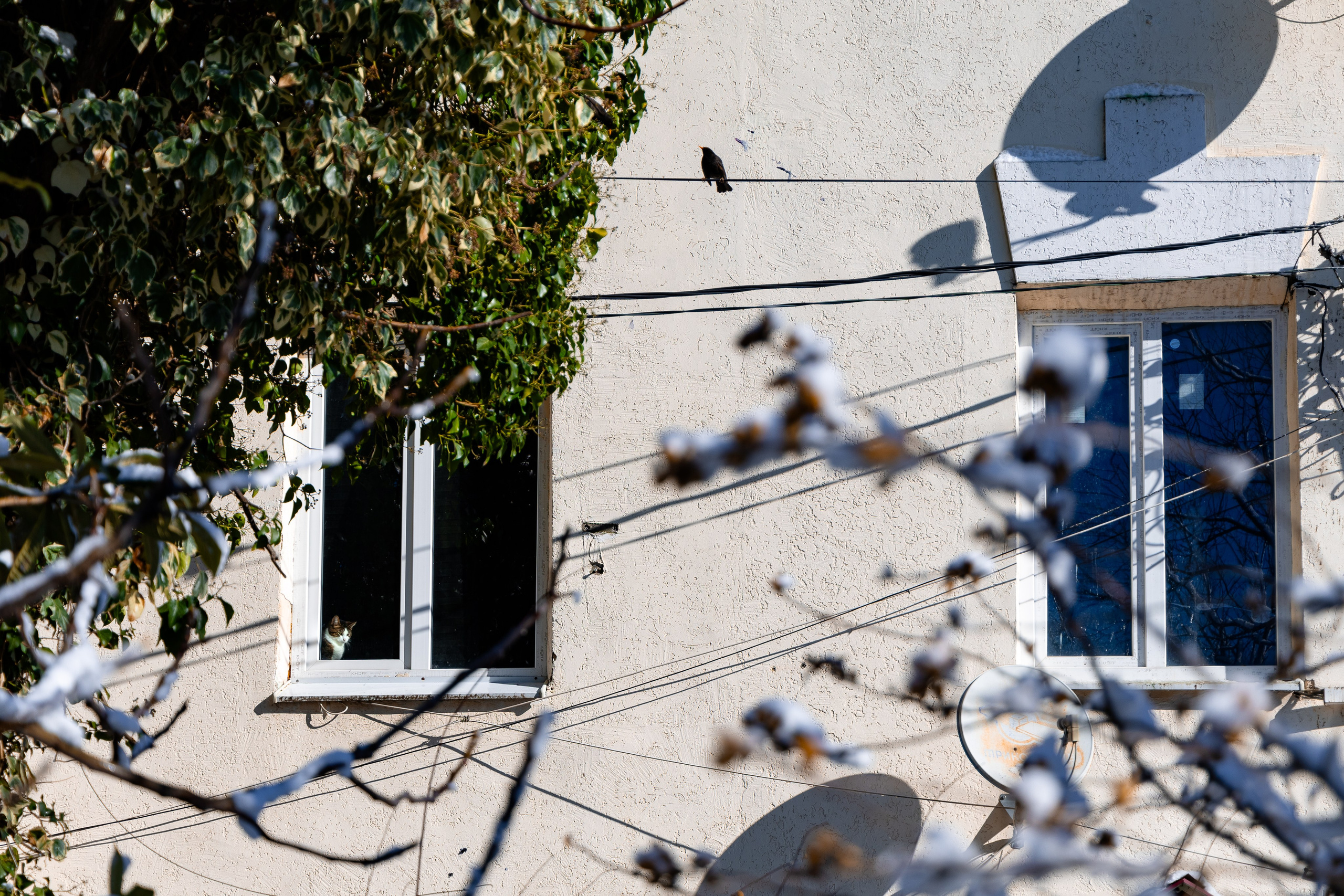 АРХИТЕКТУРА / ОКРУЖАЮЩАЯ СРЕДА. Фотосъёмка Сочи, Адлер, Красная Поляна