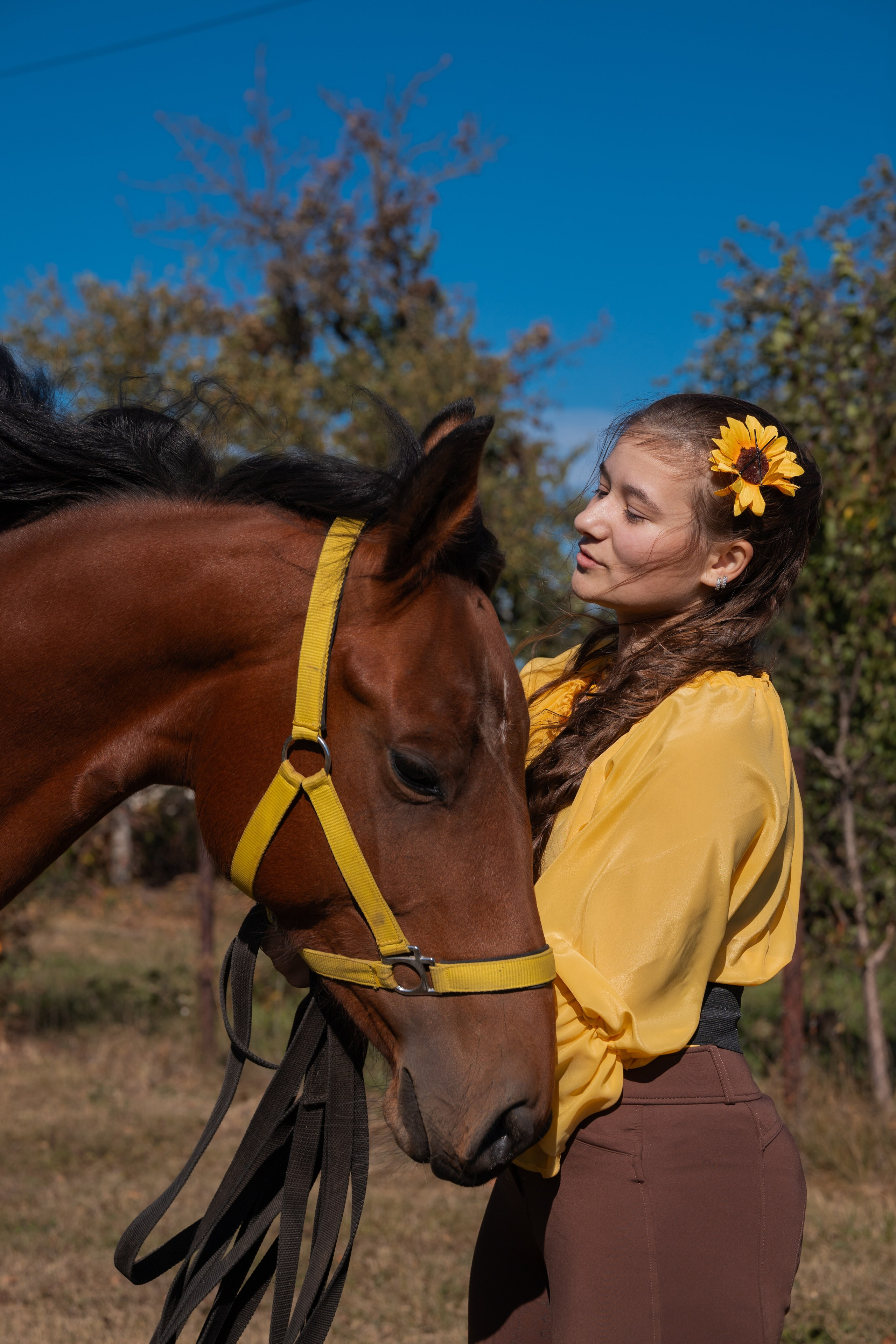 Фотосессия с лошадьми