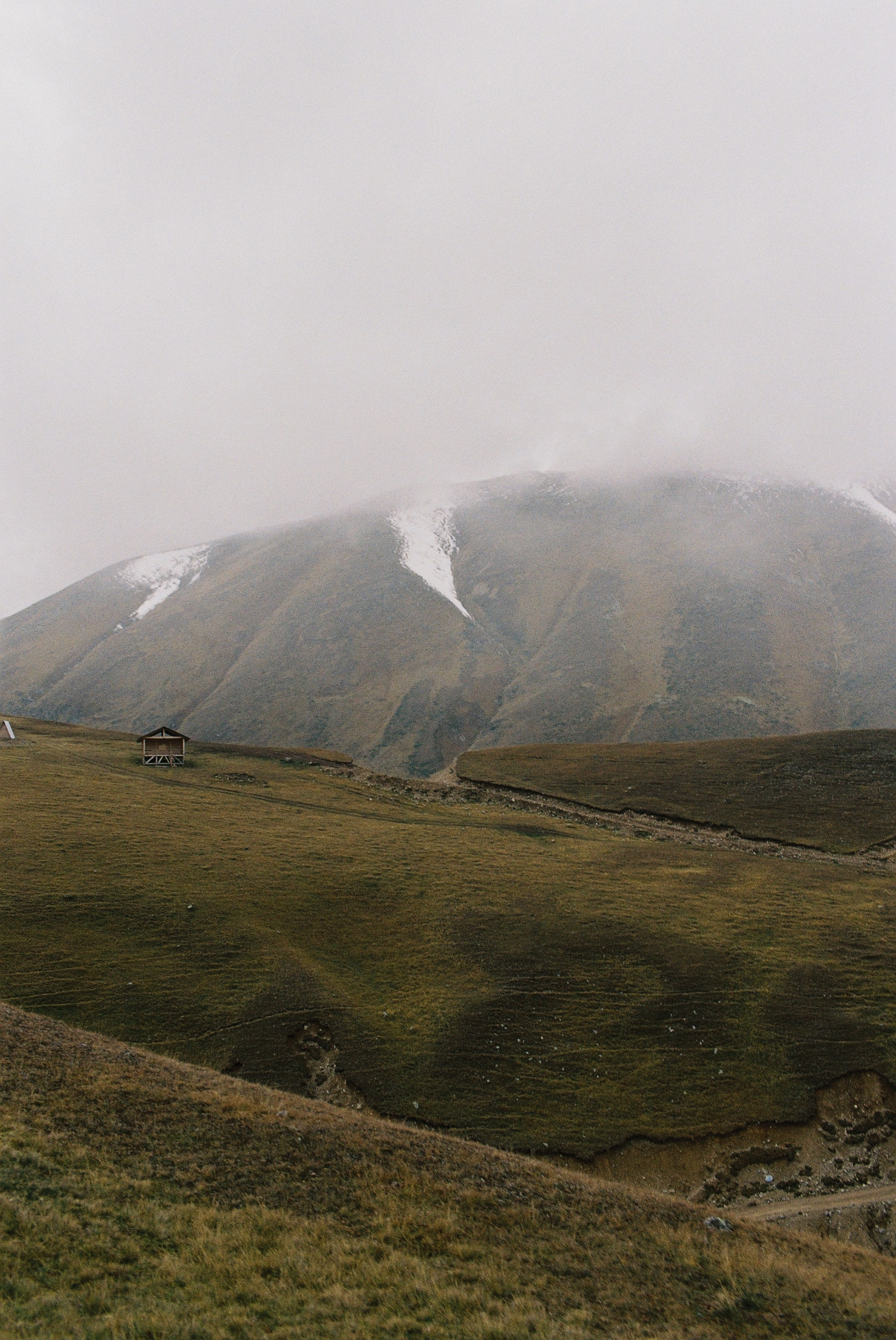 Пленка. Фотограф Ирина Гринько Тольятти Самара Москва