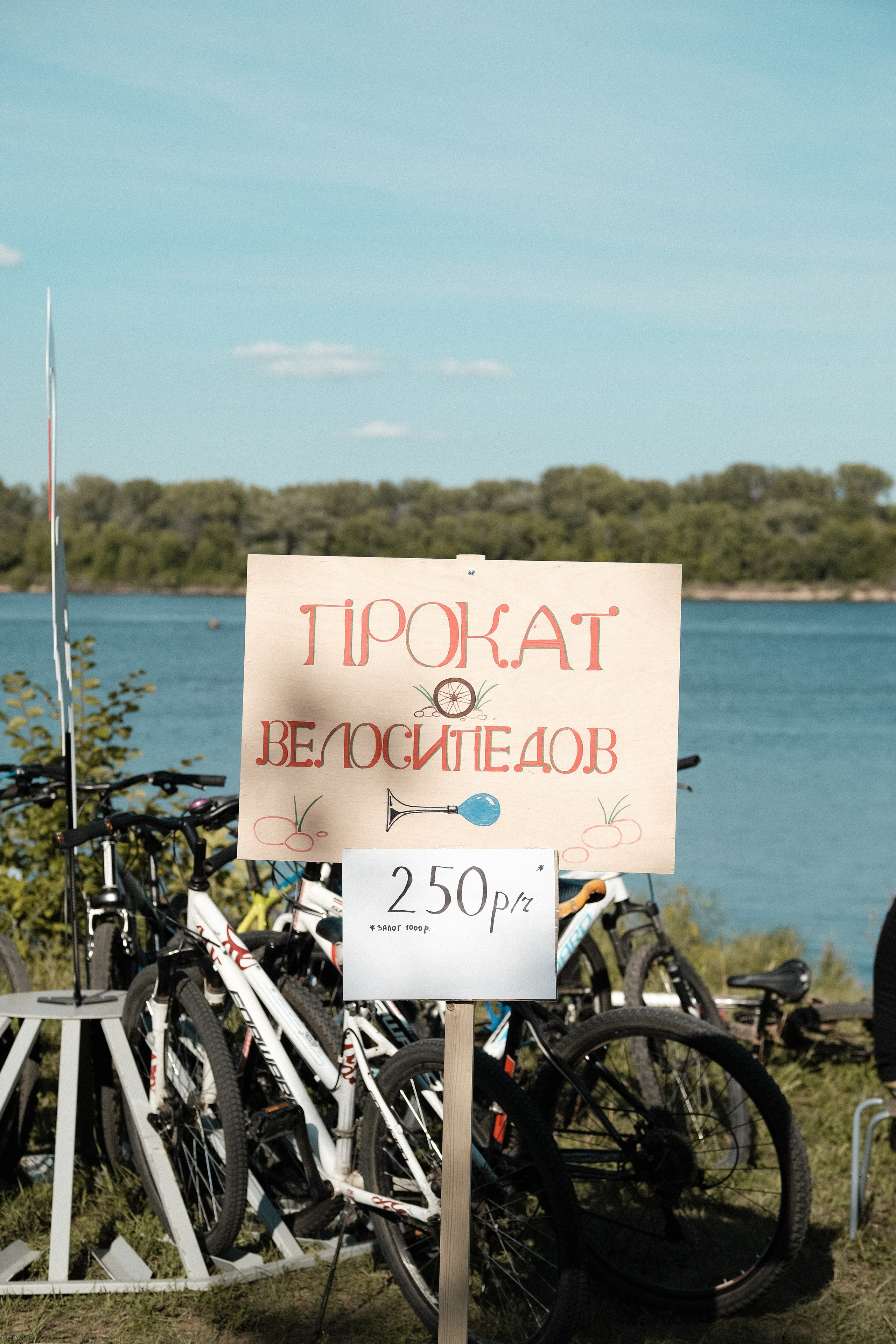 Эко-фестиваль АртЛуга 2023. LIYALEE PHOTO