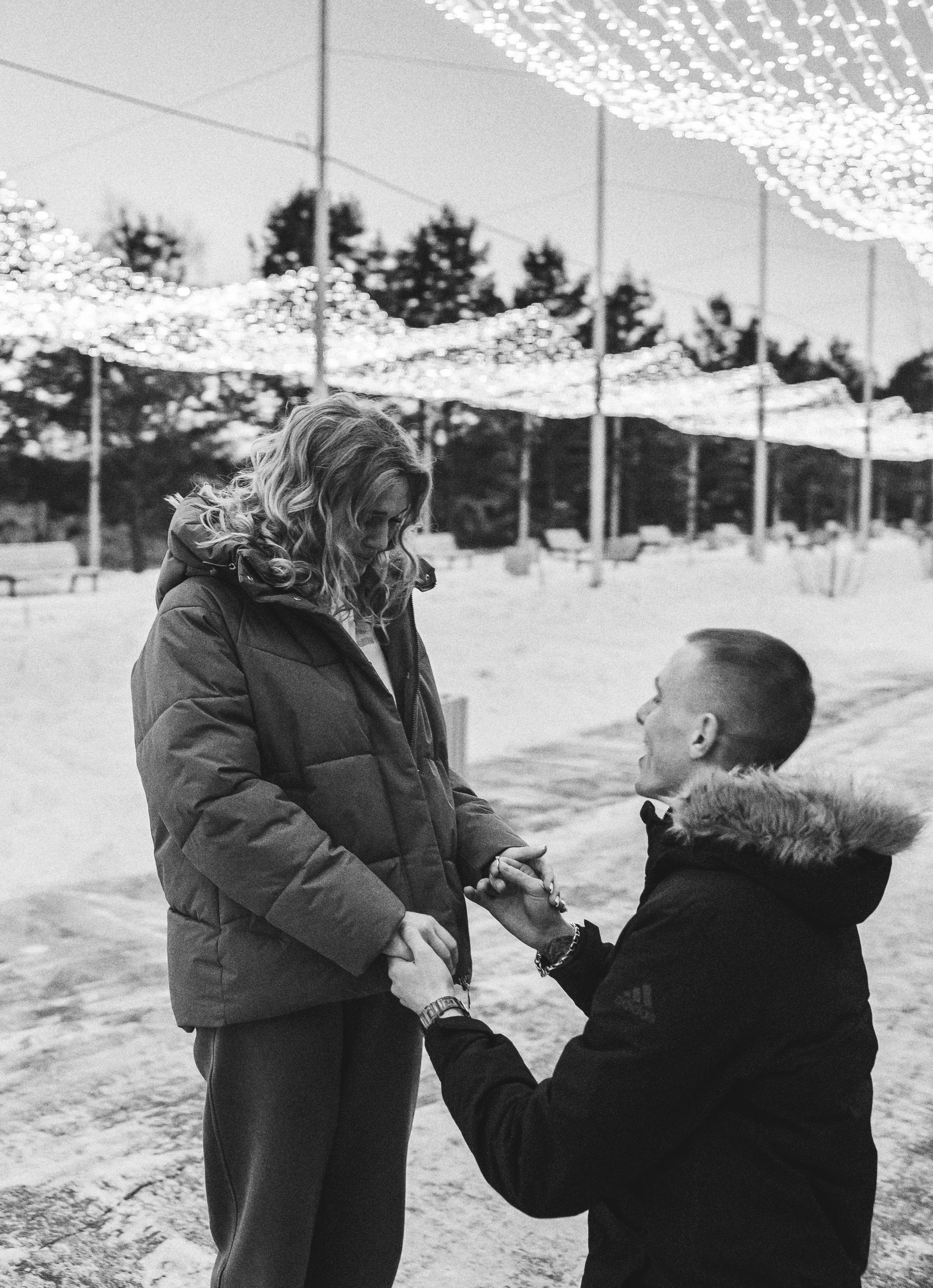 Предложение. Главная