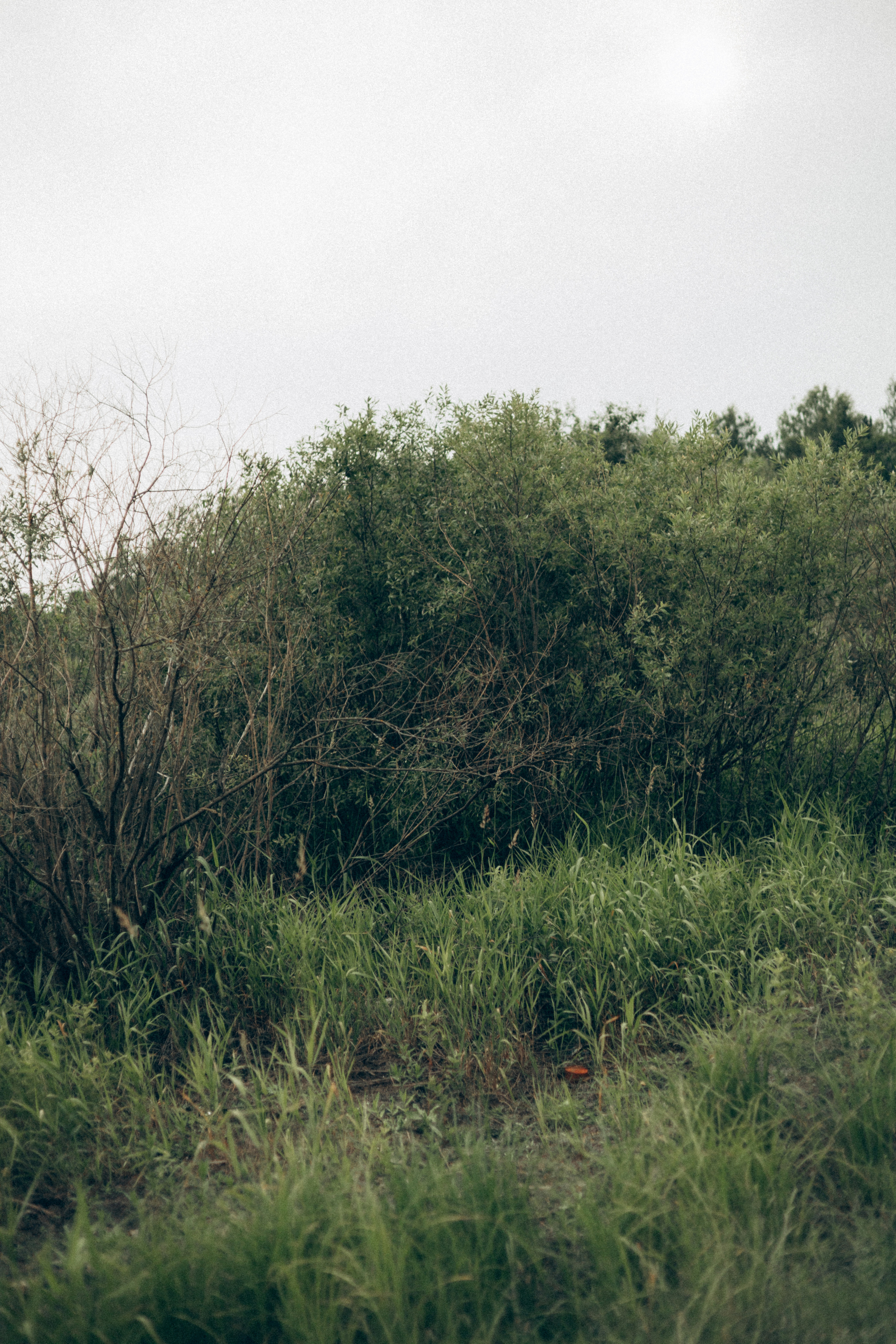 Миша. Фотограф в Москве и области Титова Наталья