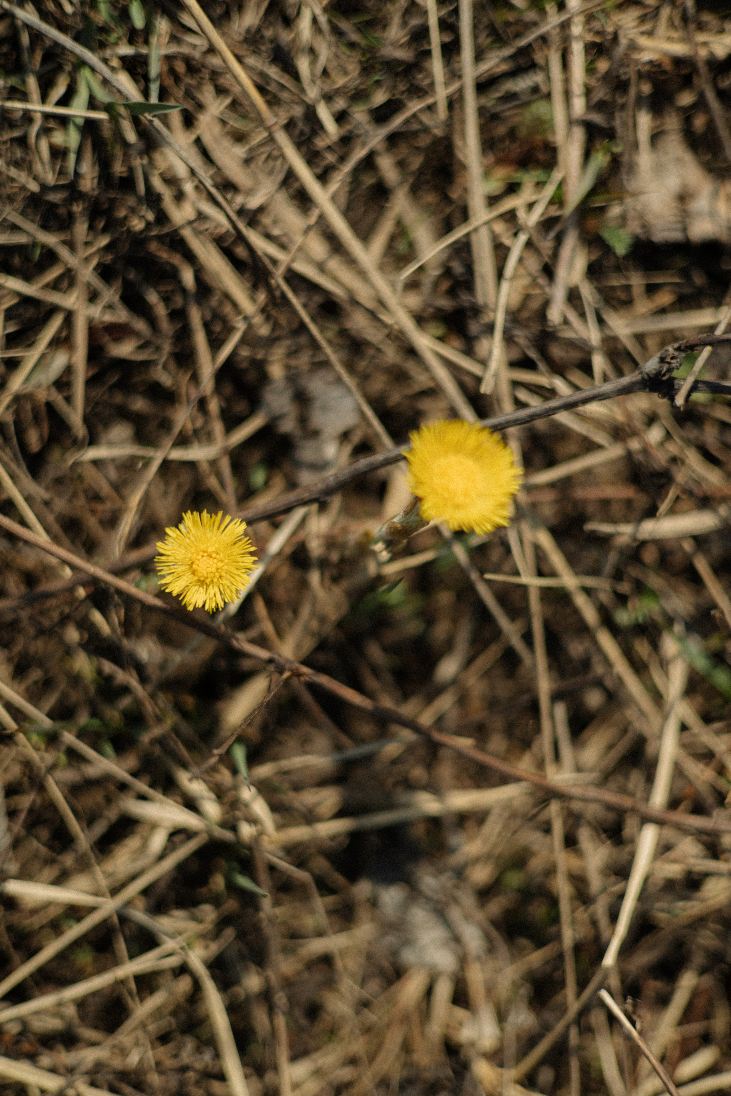 Катя. Фотограф в Москве и области Титова Наталья