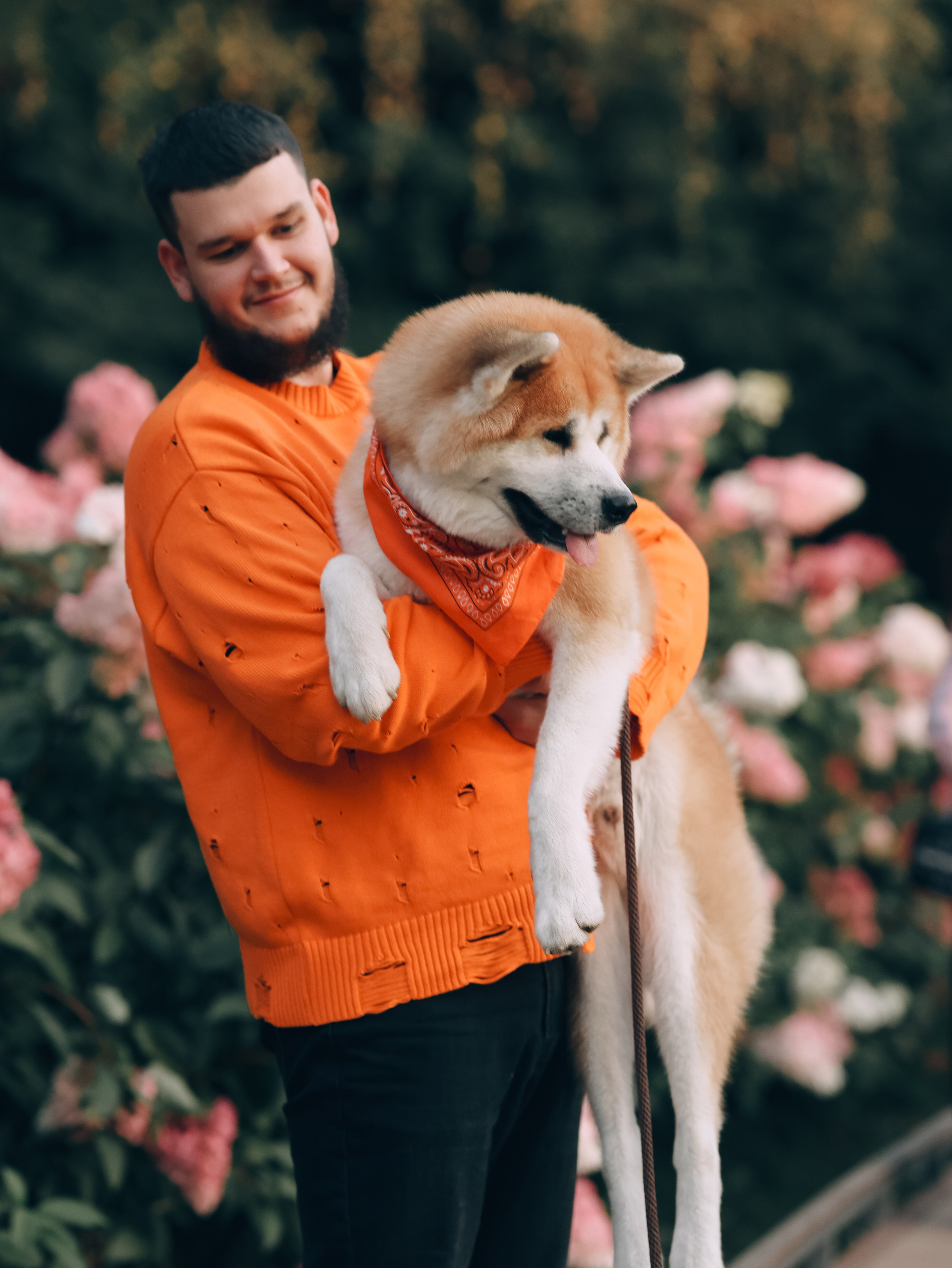 Гранд, Вика и Степан. Фотограф-анималист в Москве Кириллова Татьяна