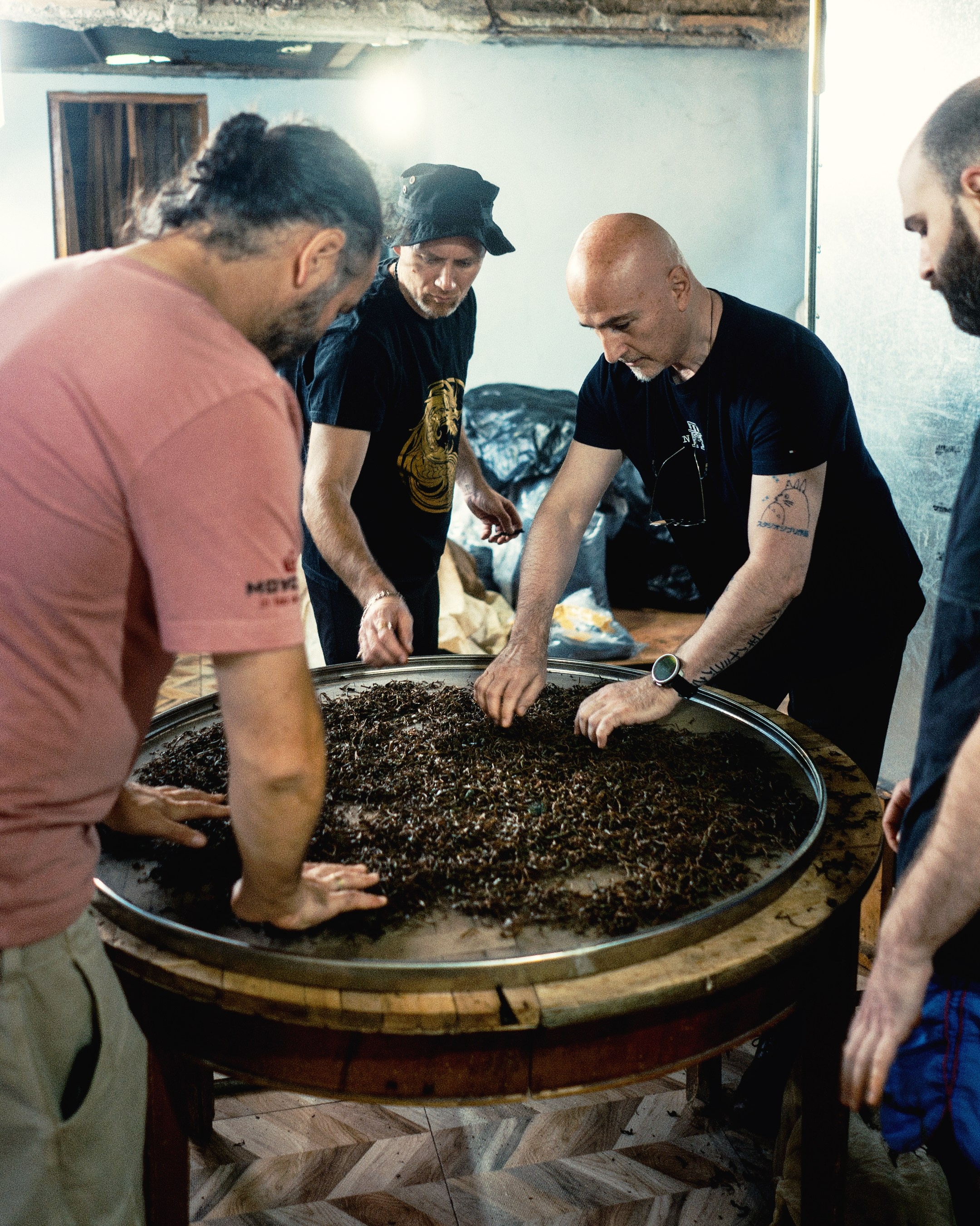 Tea production Moychay, Guria. Андрей Фадеев фото видео Тбилиси