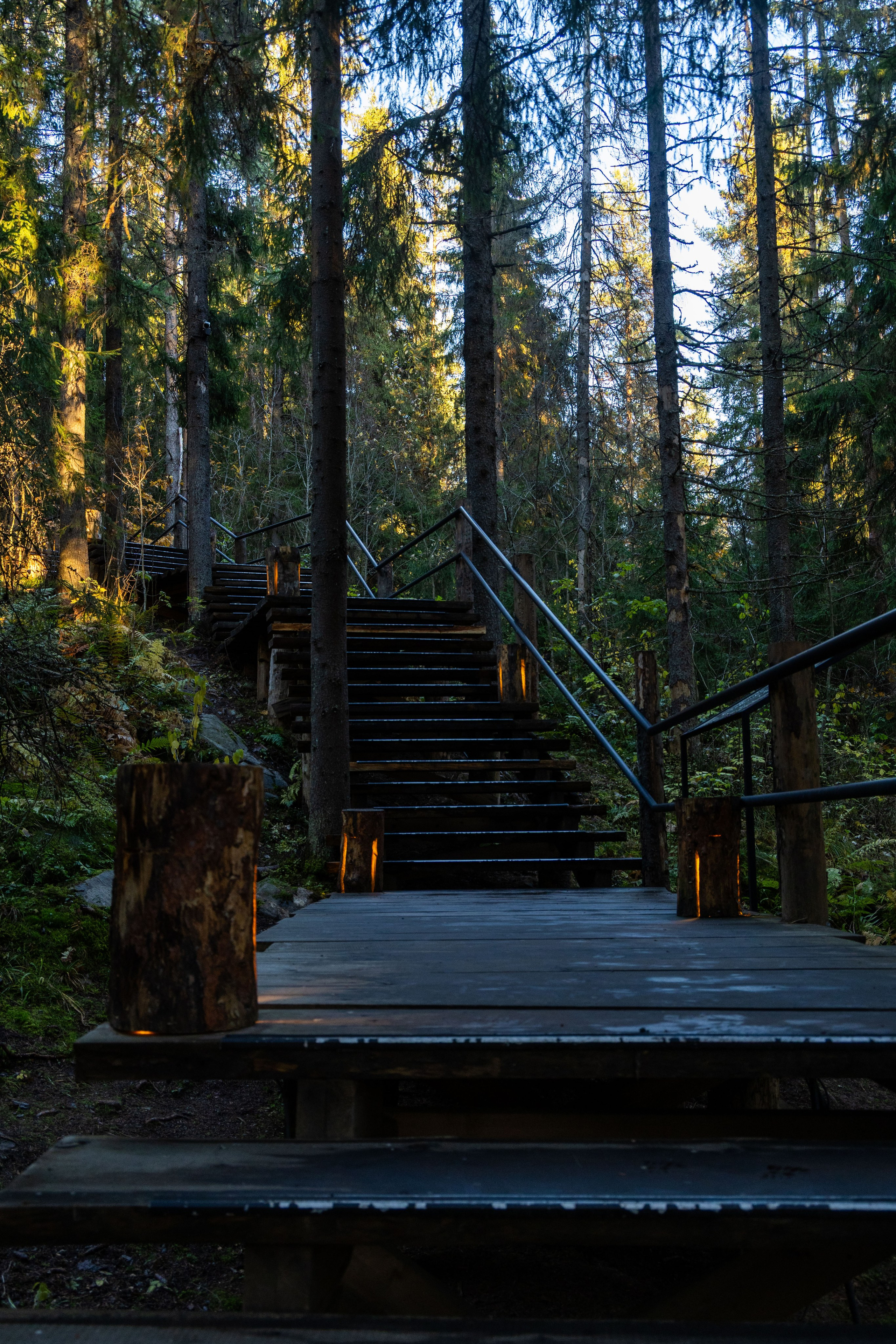 Природа Карелии октябрь 2025. Портретный и семейный фотограф Санкт-Петербург