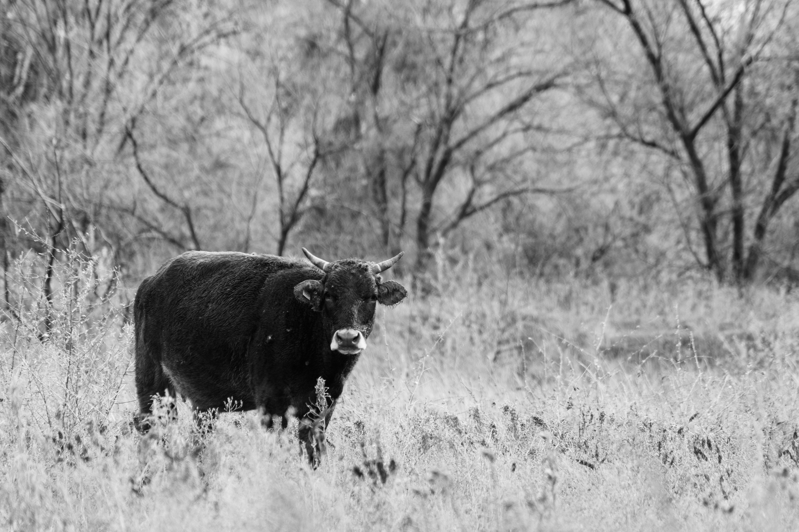 Бекстейдж сьемки кино. Профессиональная съемка в Алматы