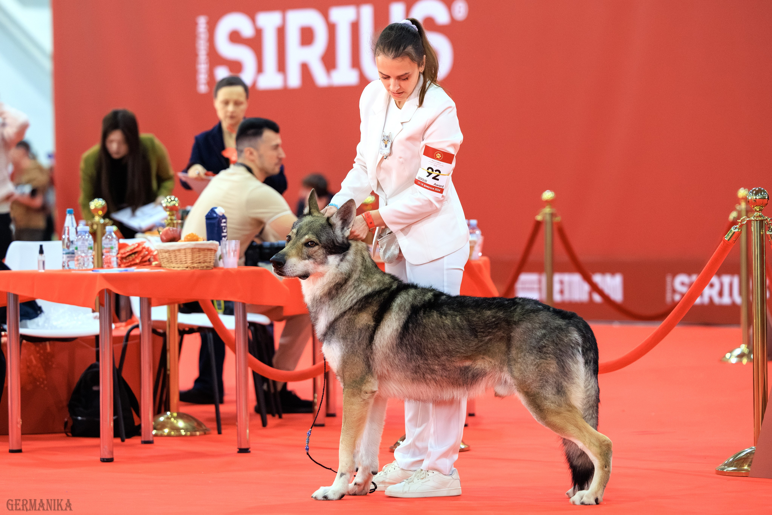 Лучшие Собаки России 17-18.02.2024. Фотограф-анималист Юлия Германика