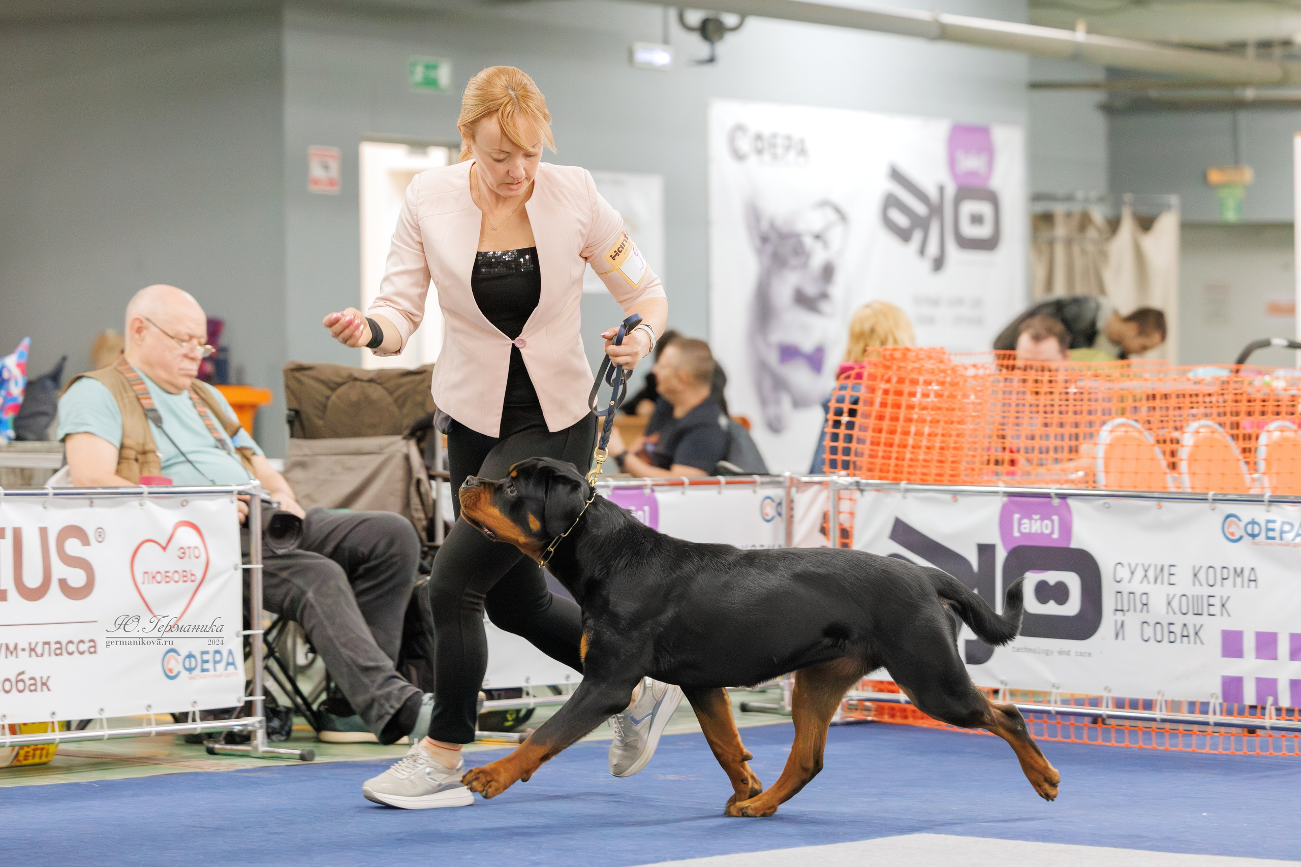 Сфера и Крокус 8,9,16 и 30.03.2025. Фотограф-анималист Юлия Германика