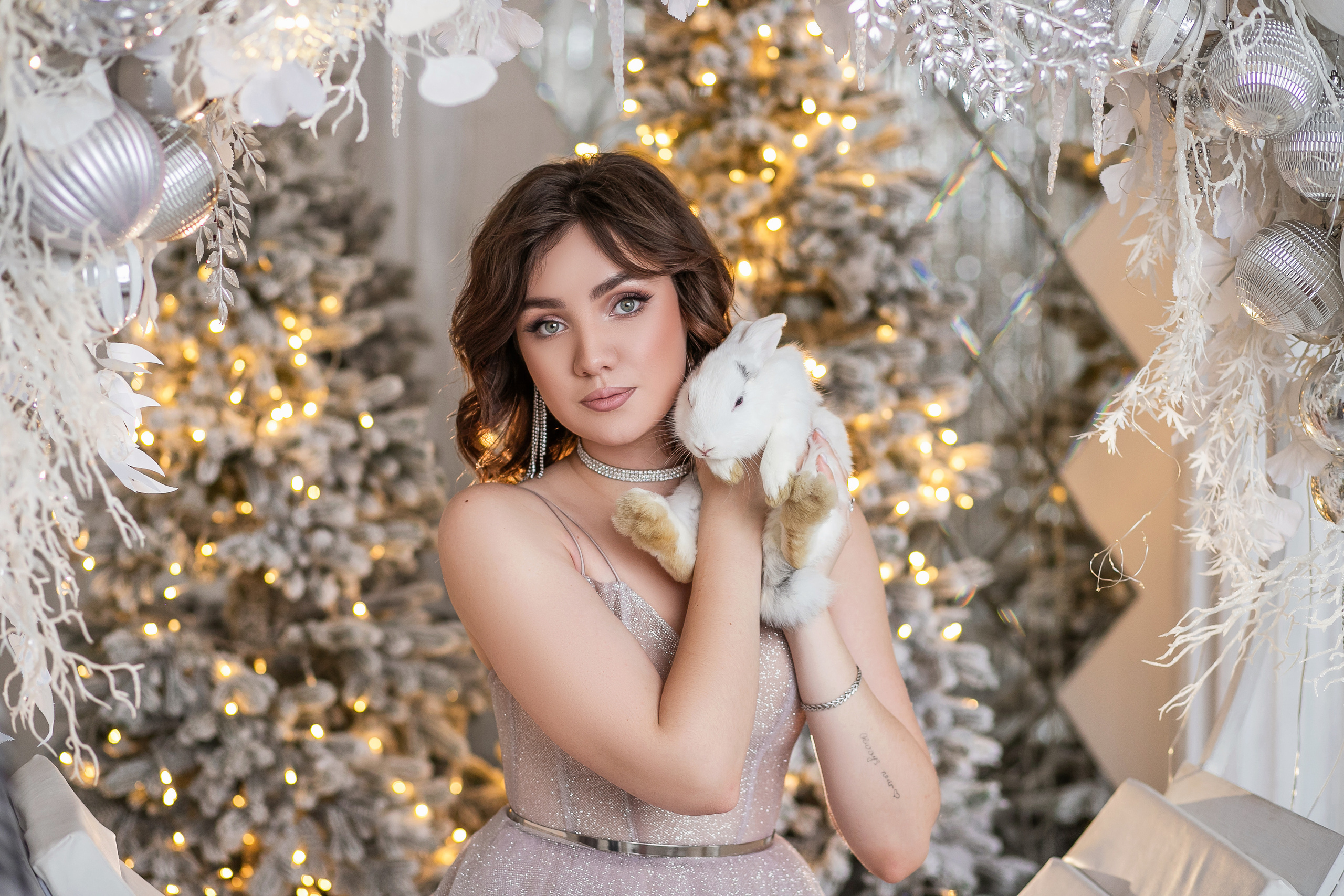 Новый год. Фотограф в Барнауле Юлия Садвокасова