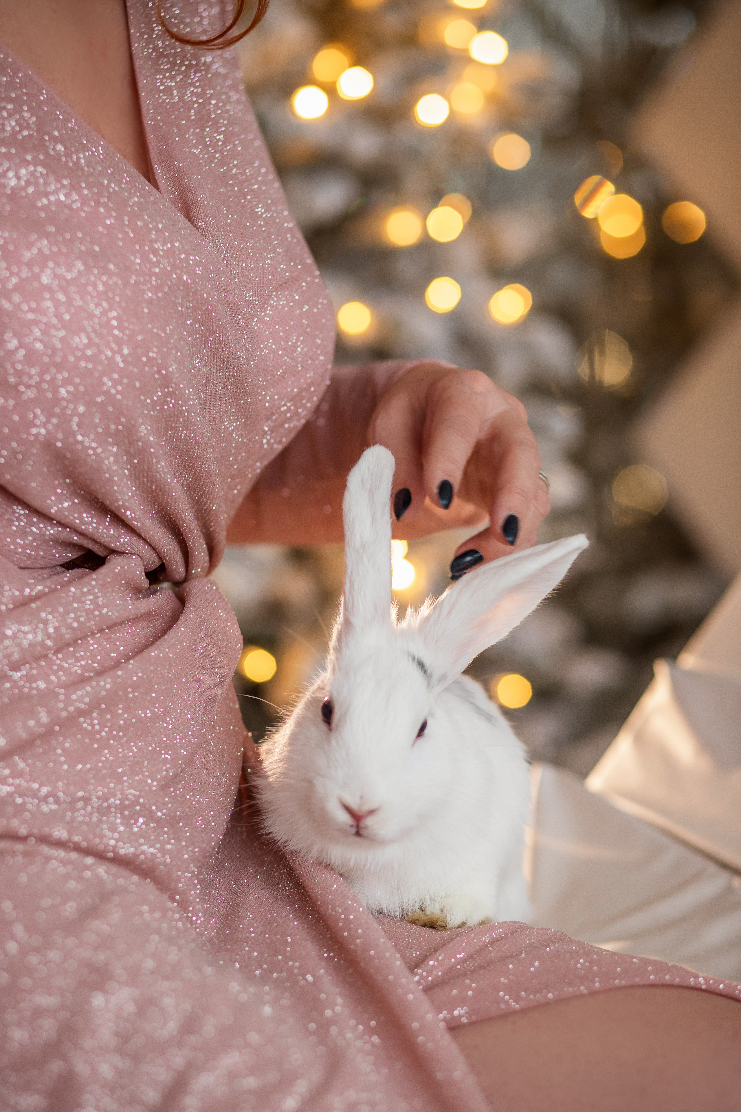 Новый год. Фотограф в Барнауле Юлия Садвокасова