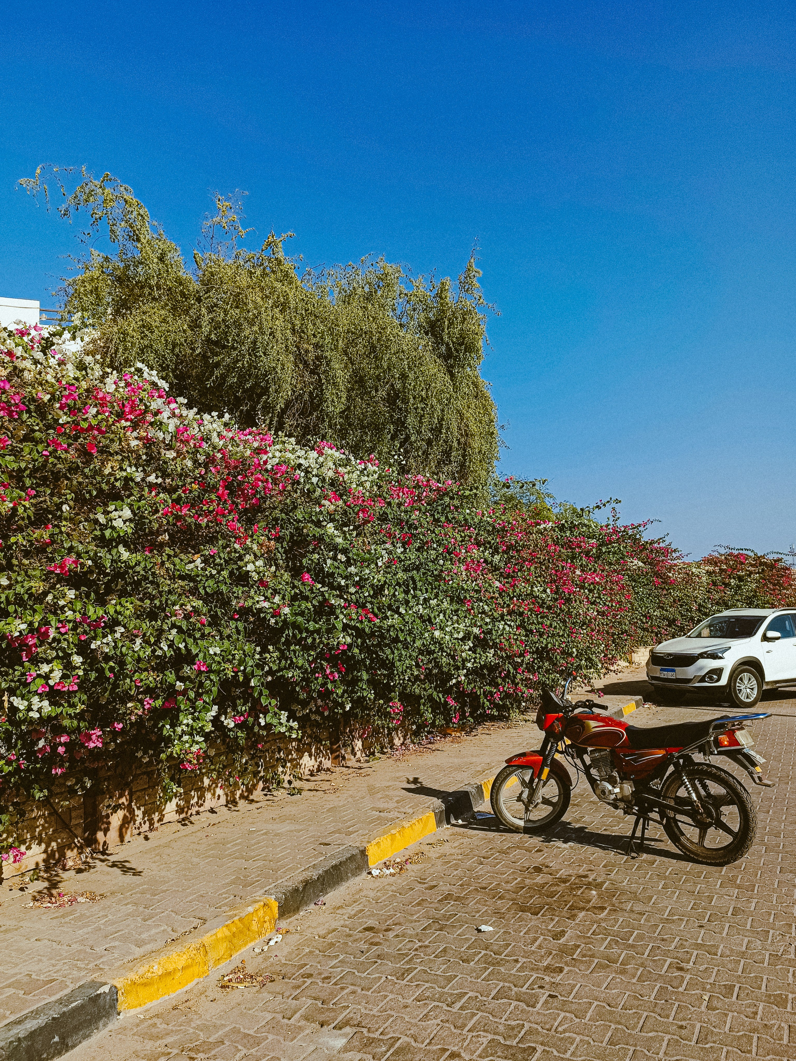 Мобильная. Jorgis — фотограф в Хургаде / обучение фотографии