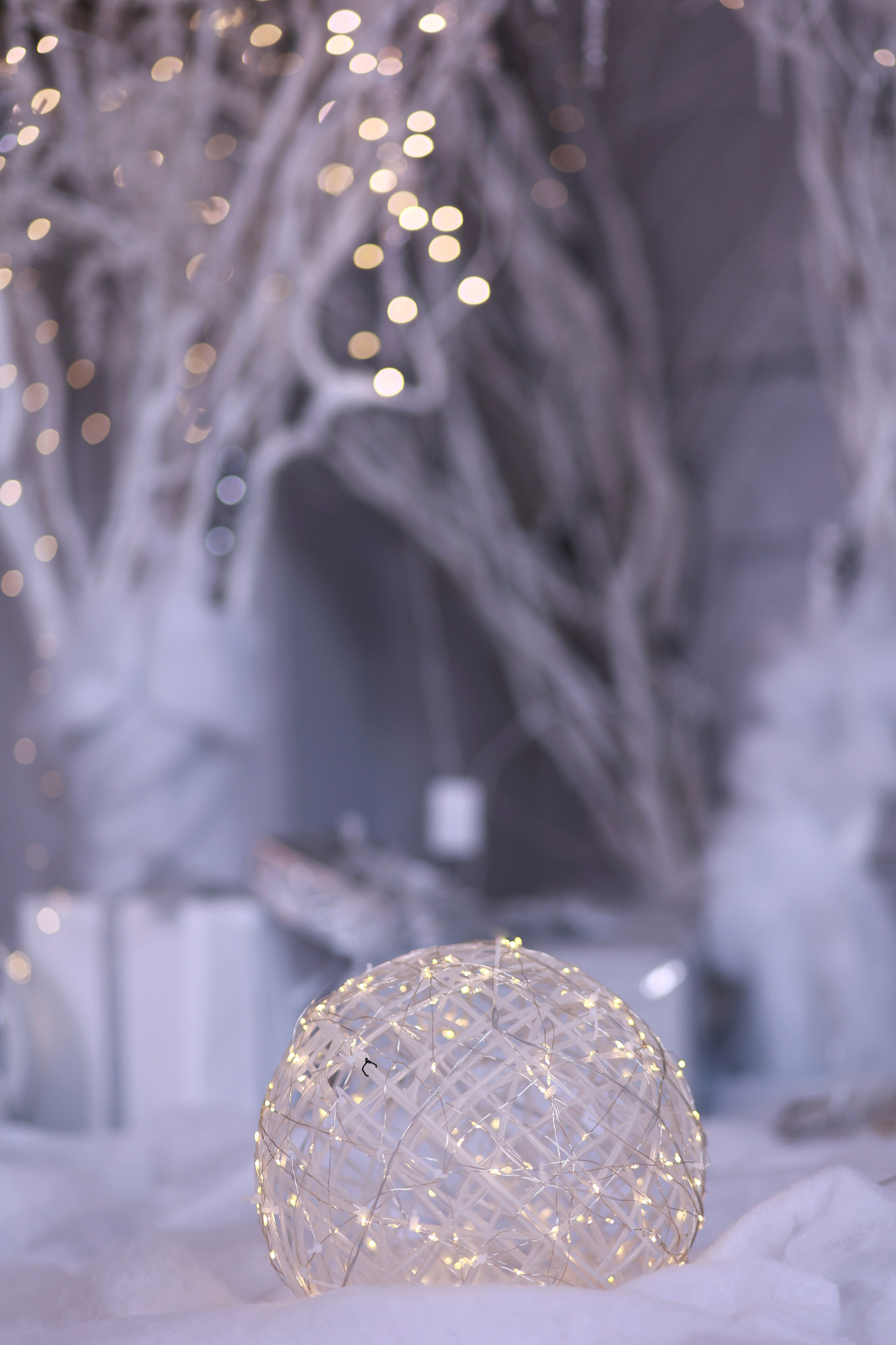 Alice. Детский семейный фотограф Краснодар