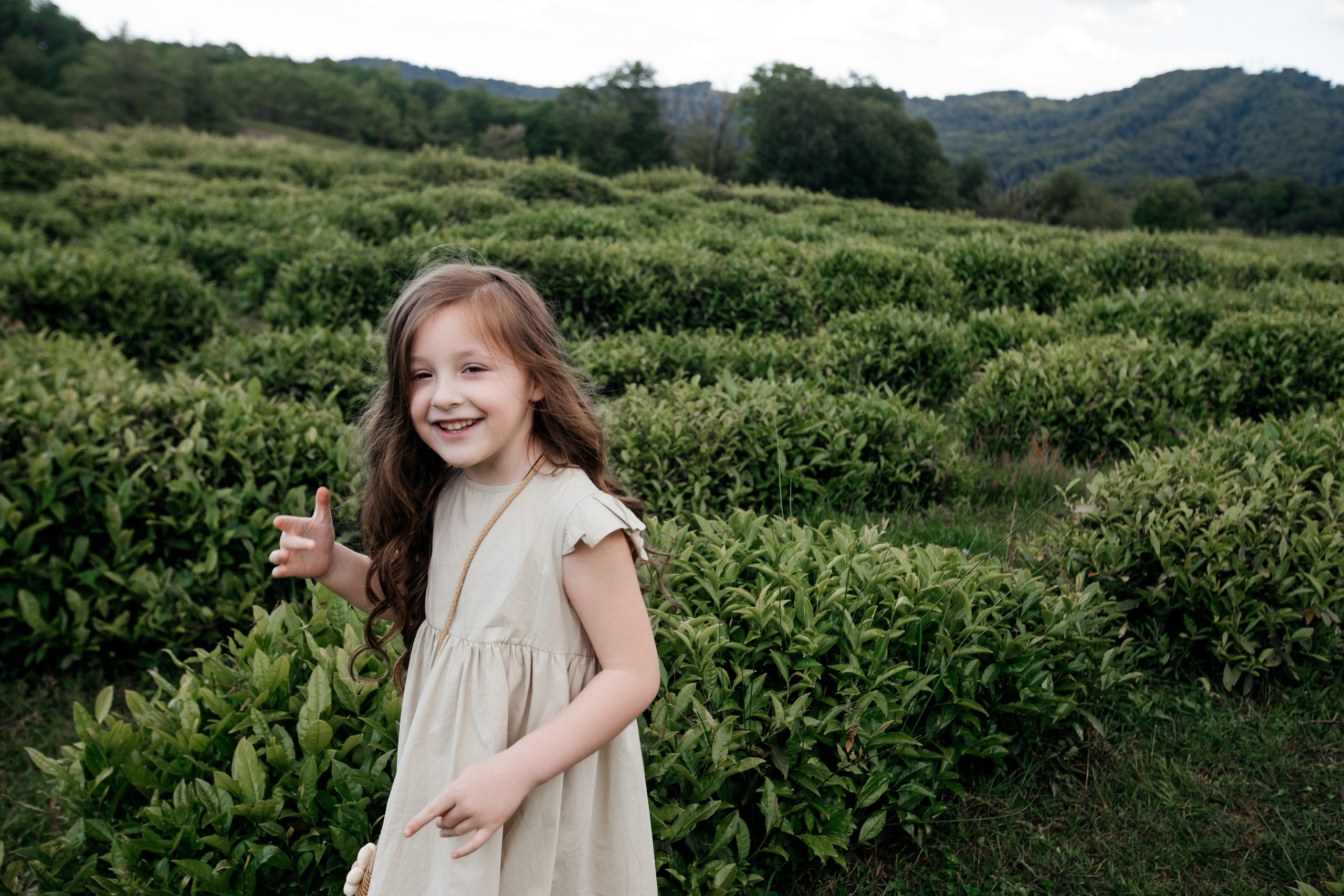 Tea plantation. Efimova Model Agency