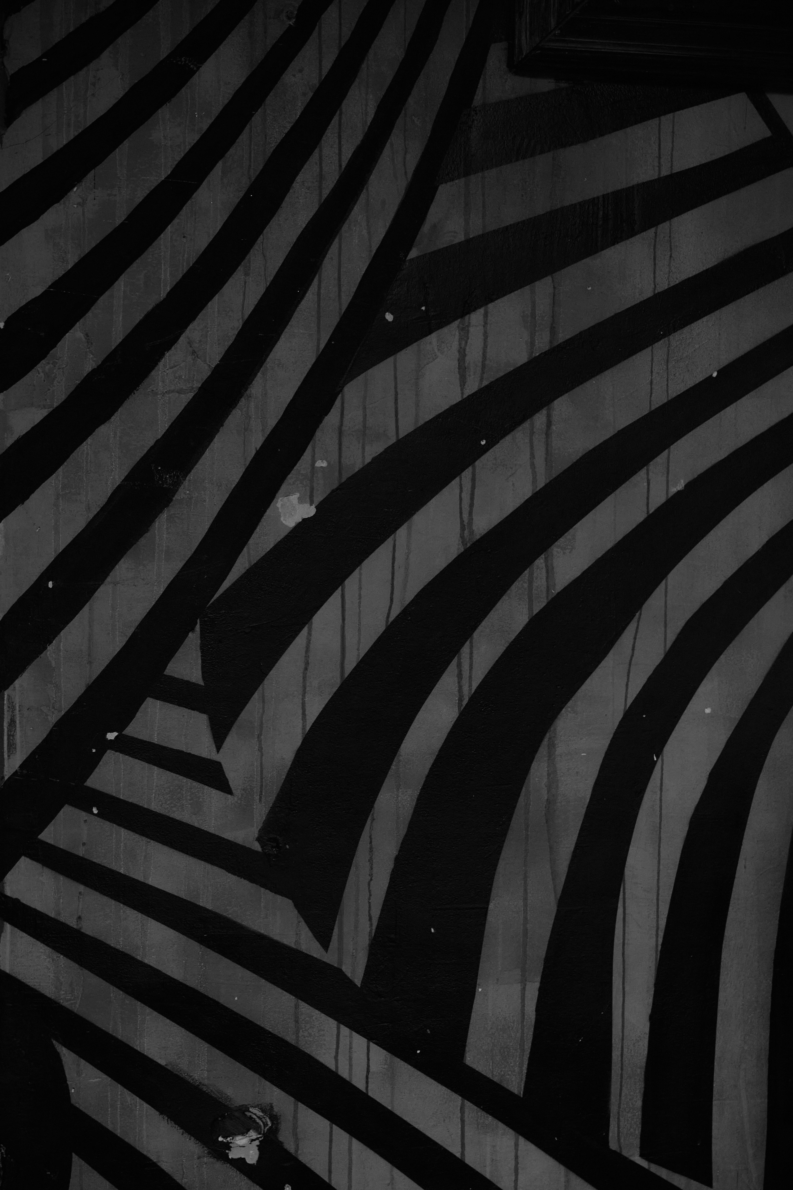 Доктор DENT. Свадебный и семейный фотограф