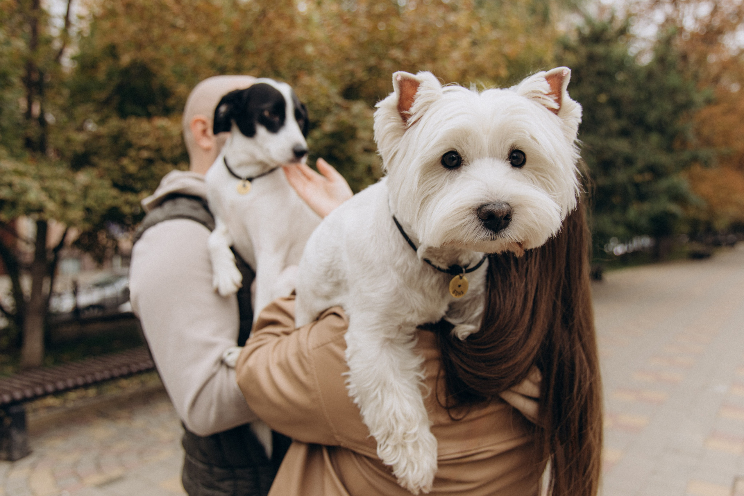 Никита и Диана. Aleksantis