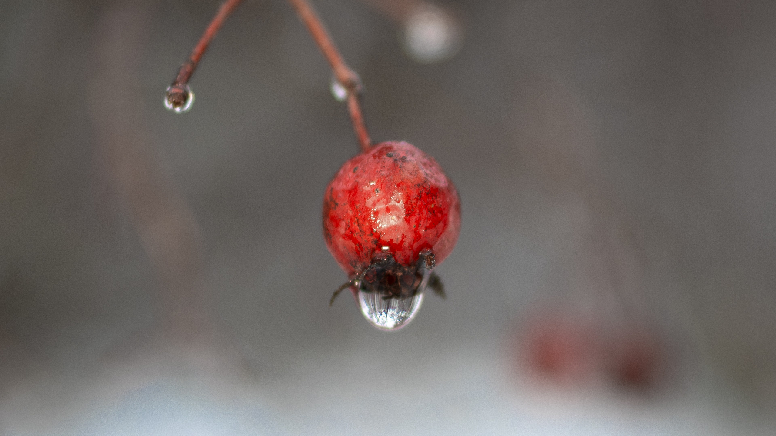 ПЕРЕДЕЛКИНО. ПОБУДЬ ЗДЕСЬ И ЦЕЛЕЕ БУДЕТ ЭТОТ МИР