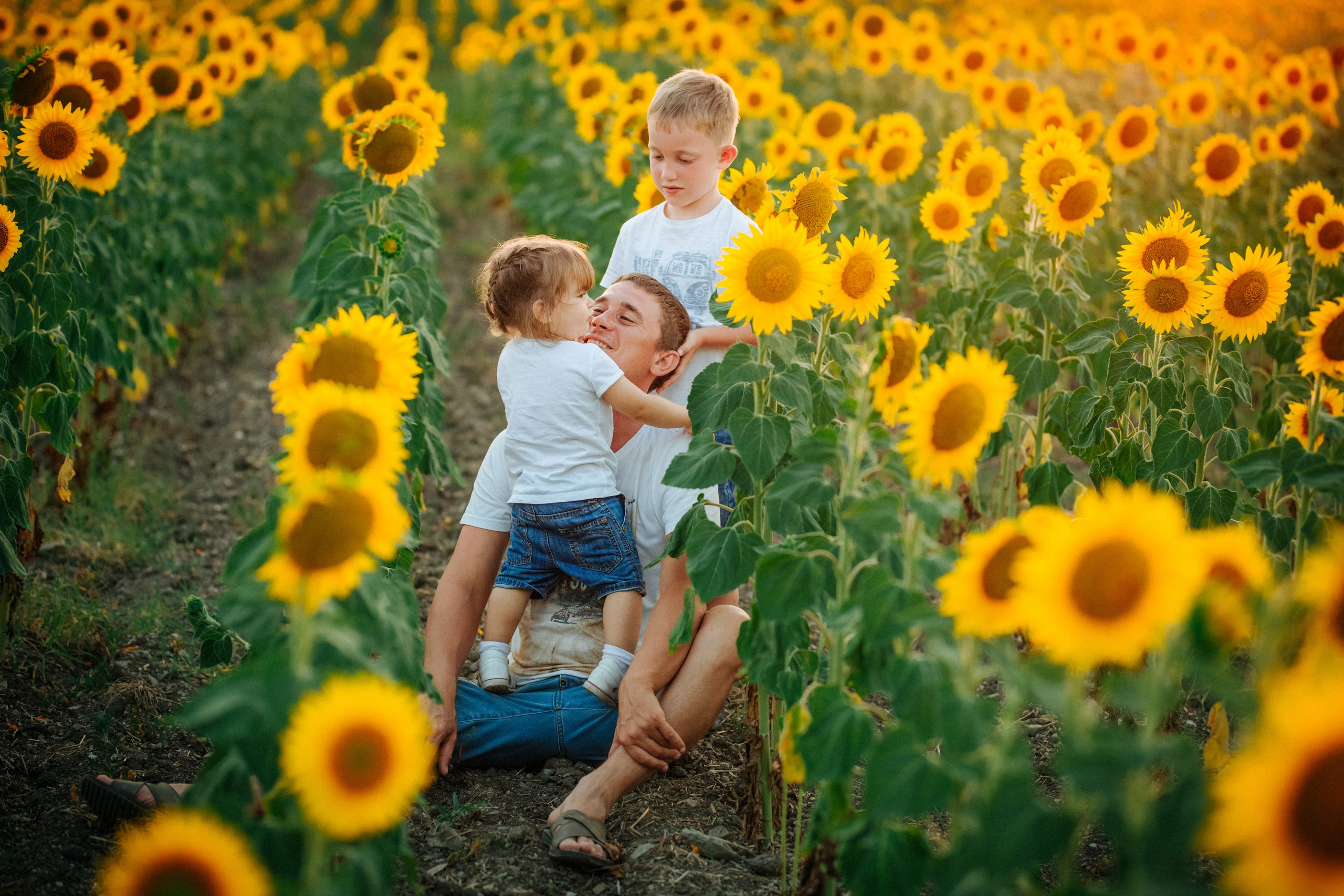 Подсолнухи!. Семейный, детский, свадебный, фотограф в городе Анапа
