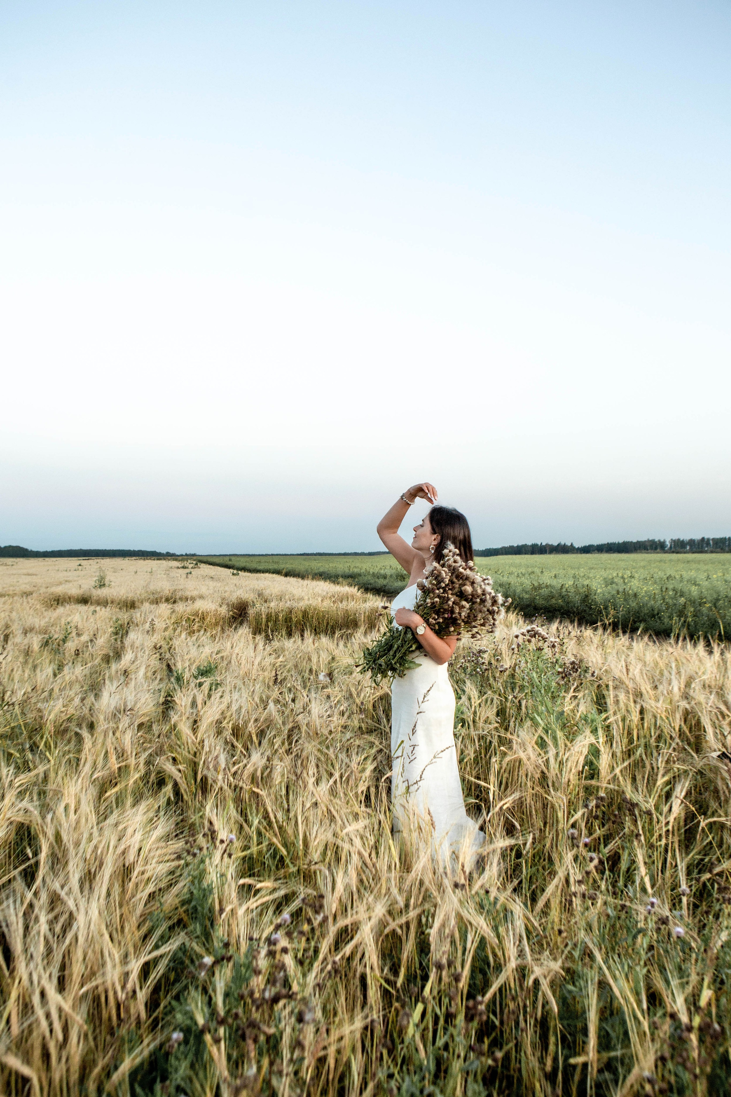Пшеница на закате. Фотограф Екатерина Голицына