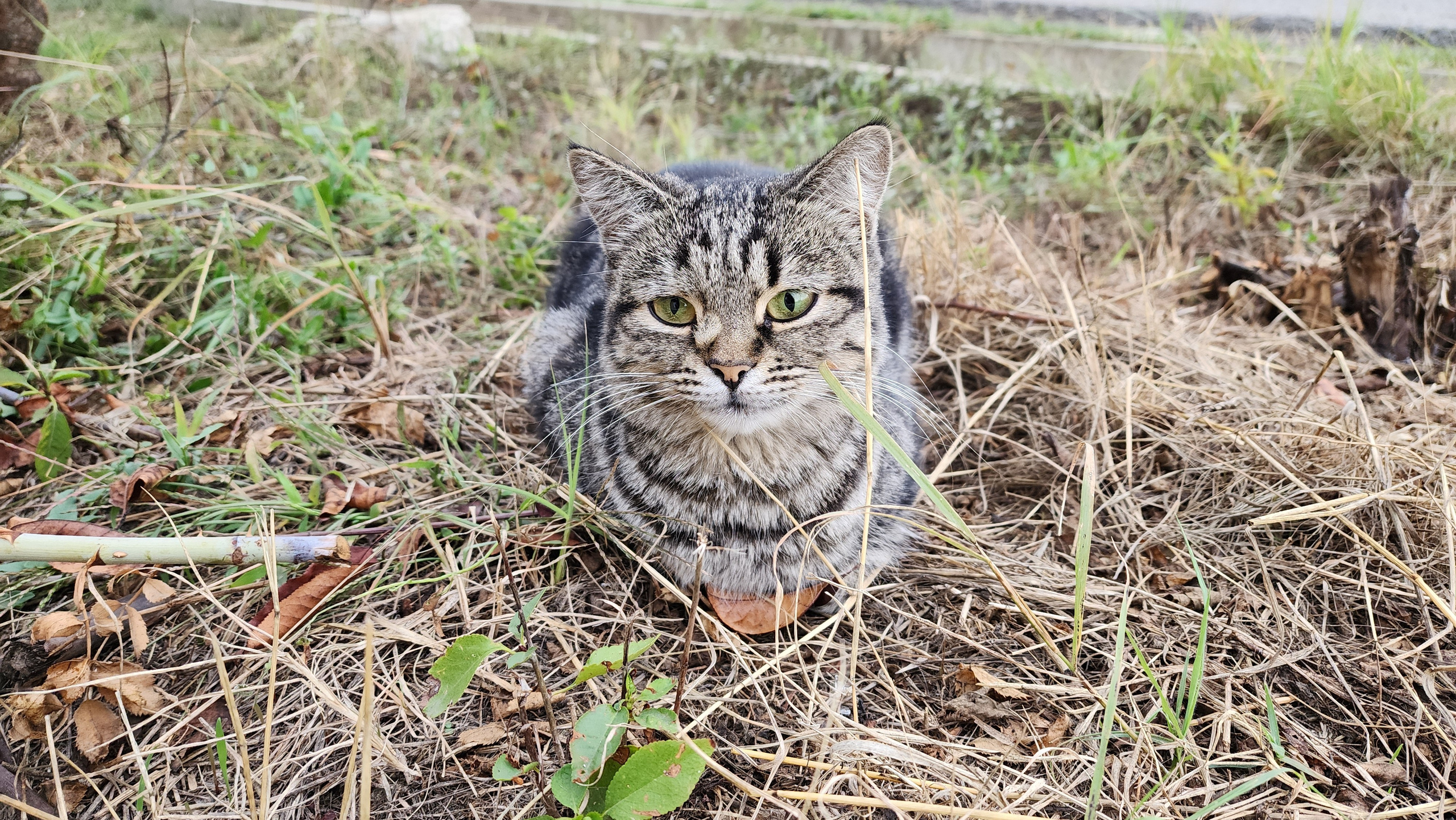 Горячий Ключ (2024-09-20). Собор Отрасли