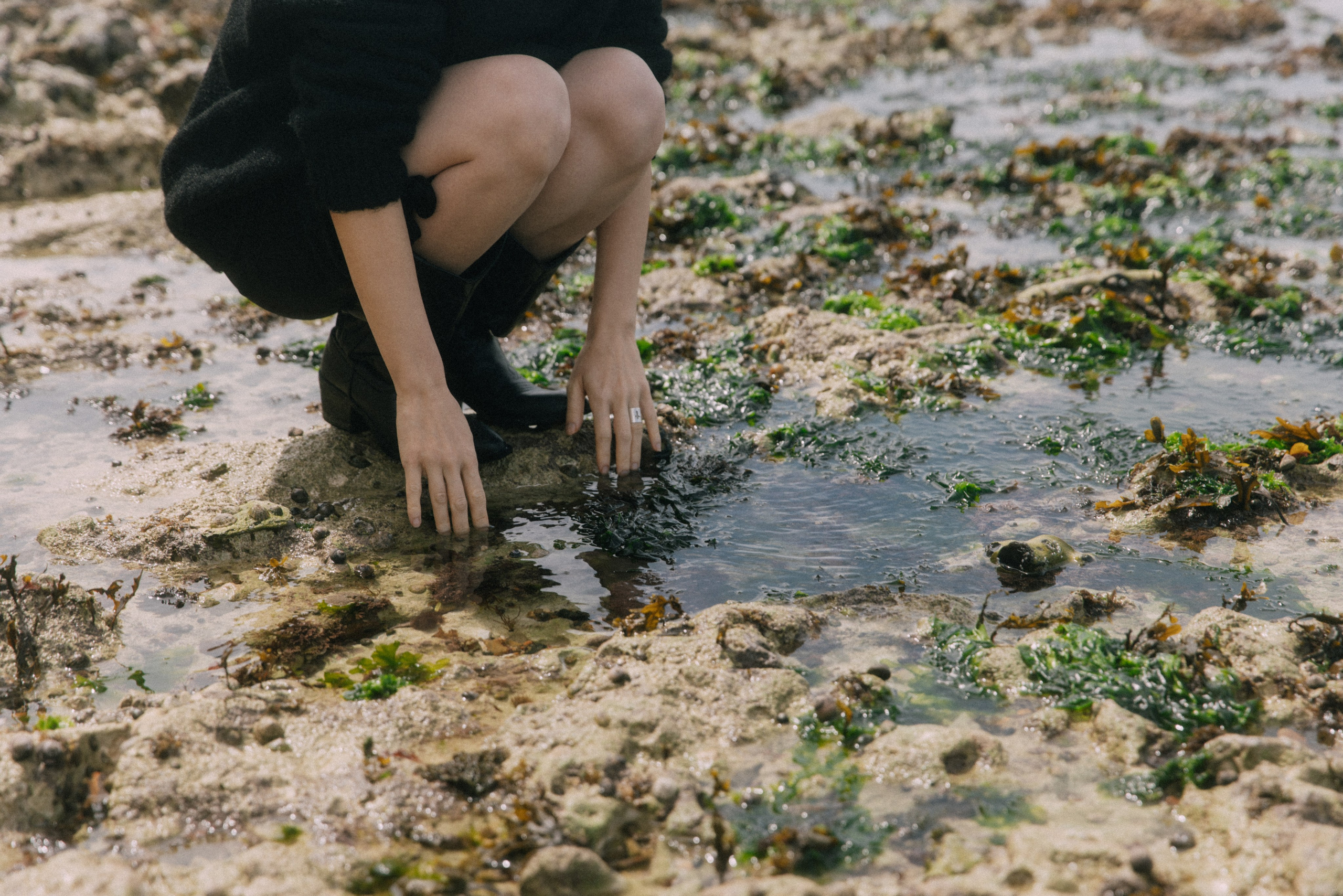 I am the ocean. Photographer in Paris