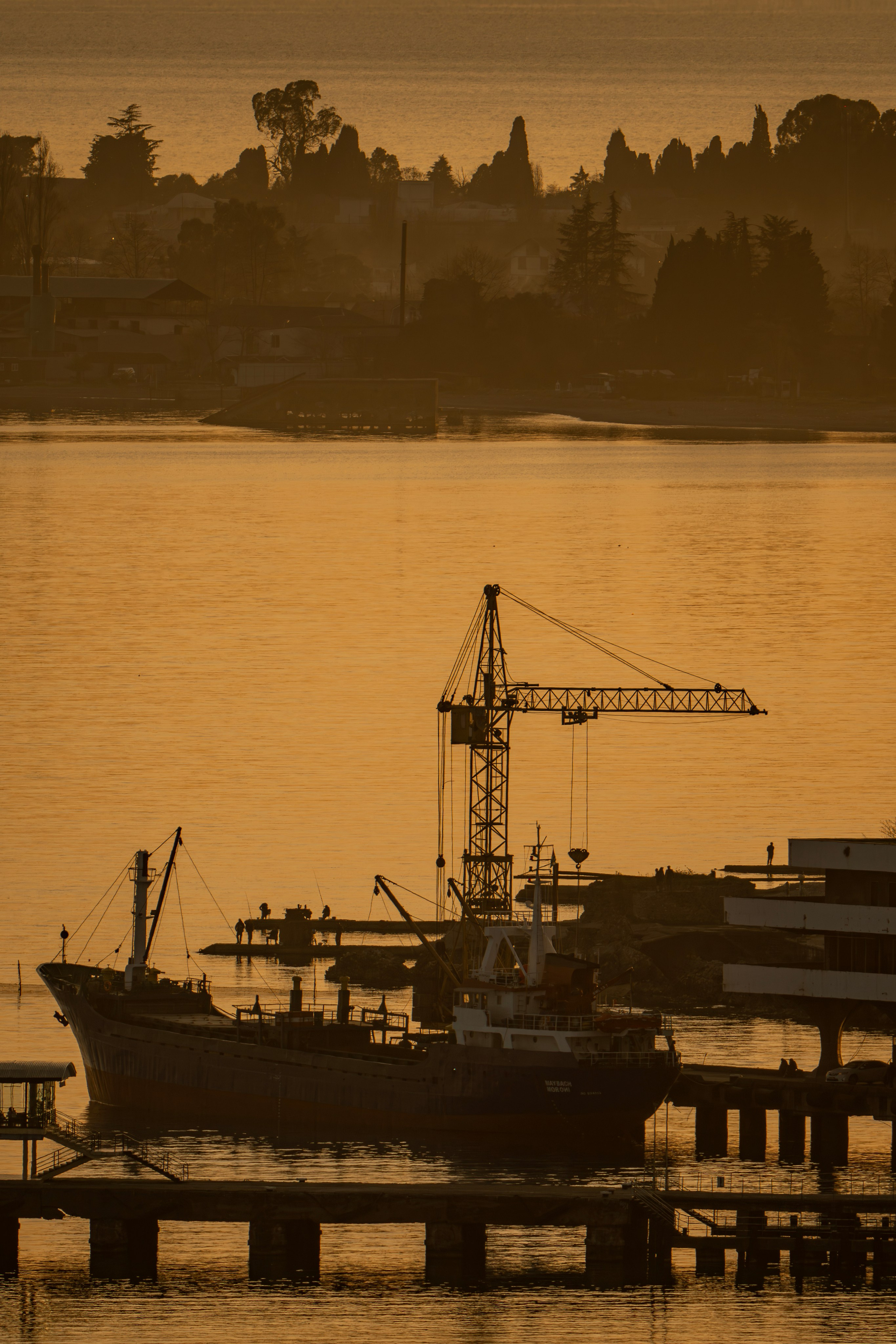 Заставки. Главная