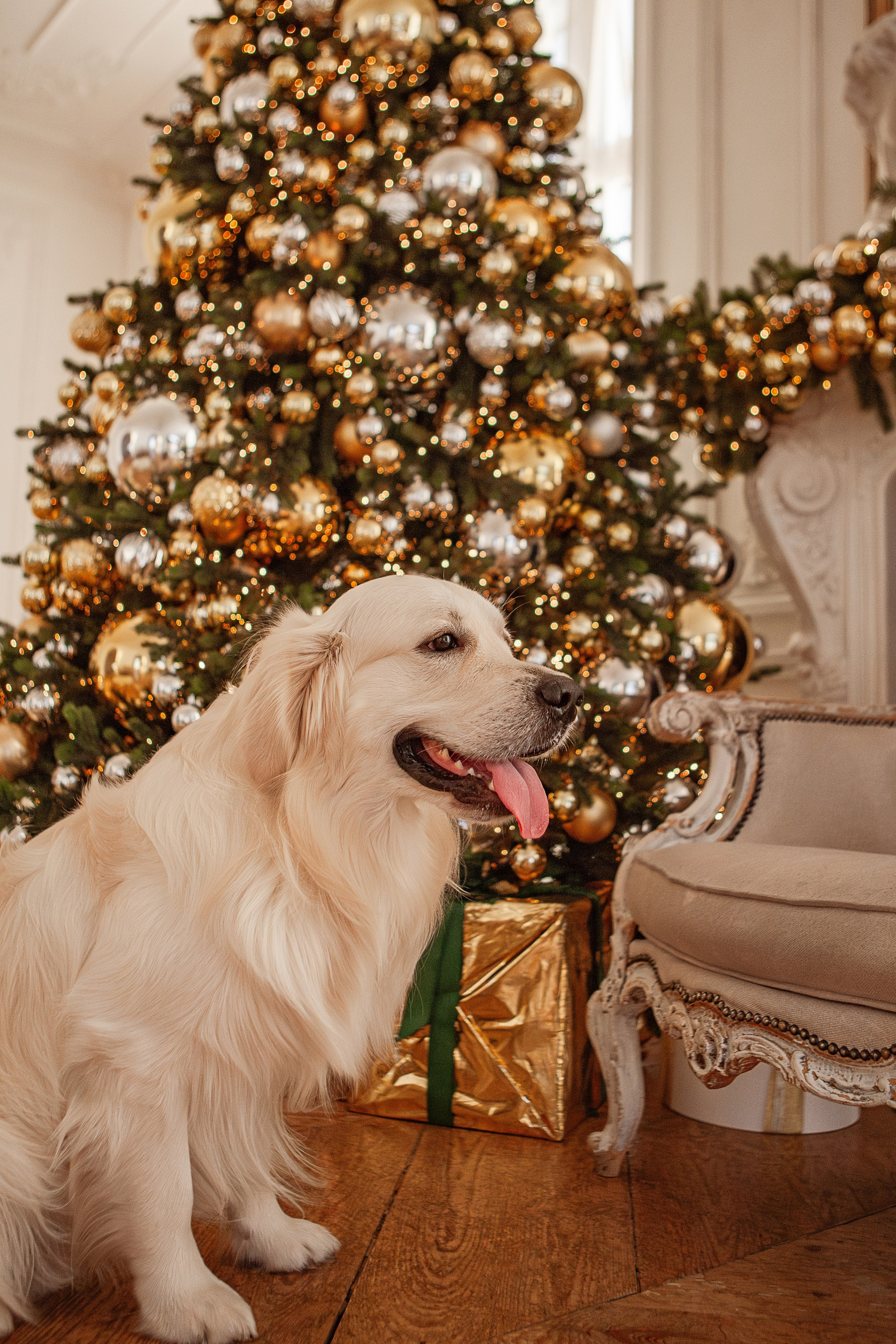Владислава. Свадебный фотограф в СПБ | Санкт-Петербурге Анастасия Рахимгулова