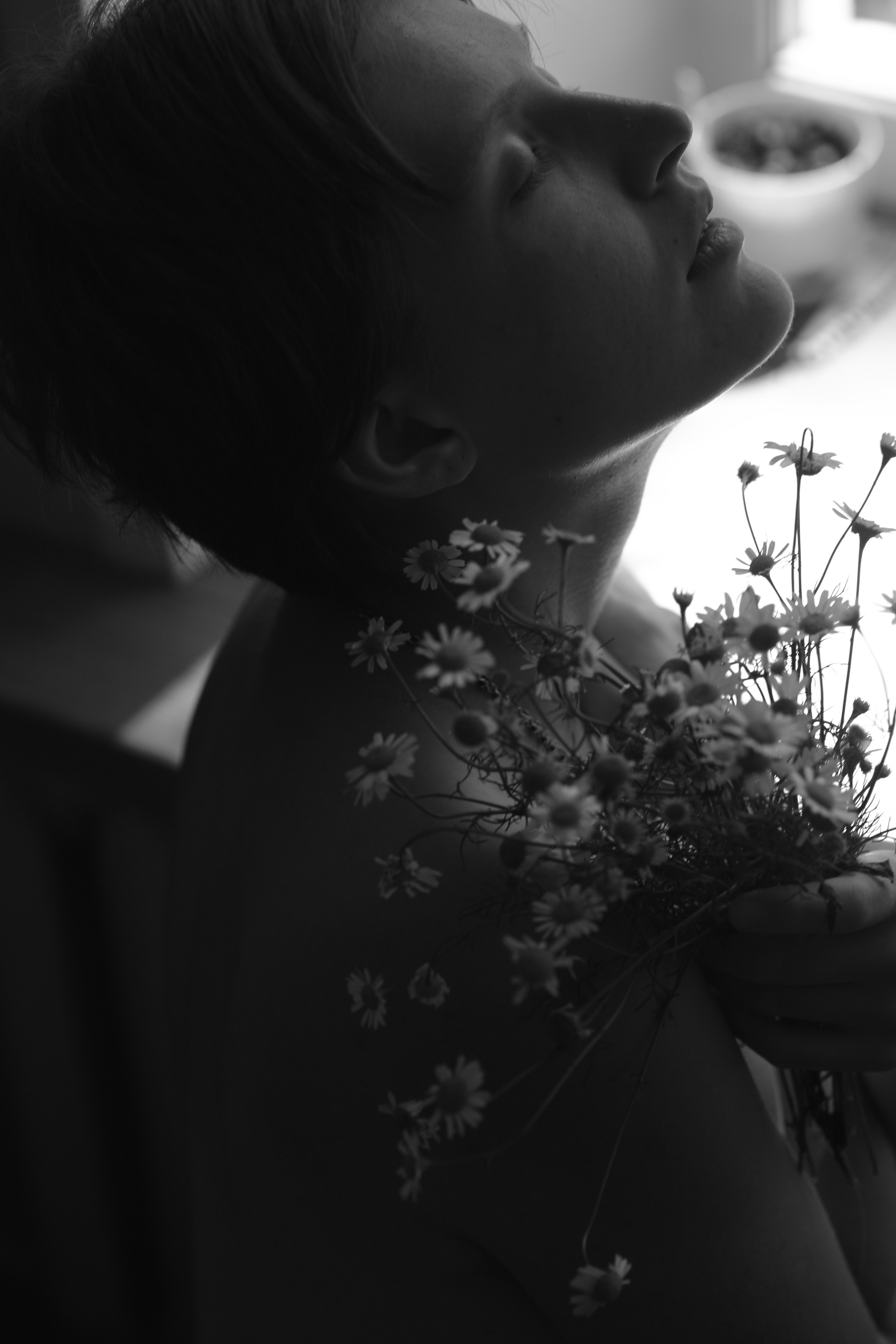 Ромашки. Свадебный и репортажный фотограф в Ярославле и Санкт-Петербурге Роман Микрюков